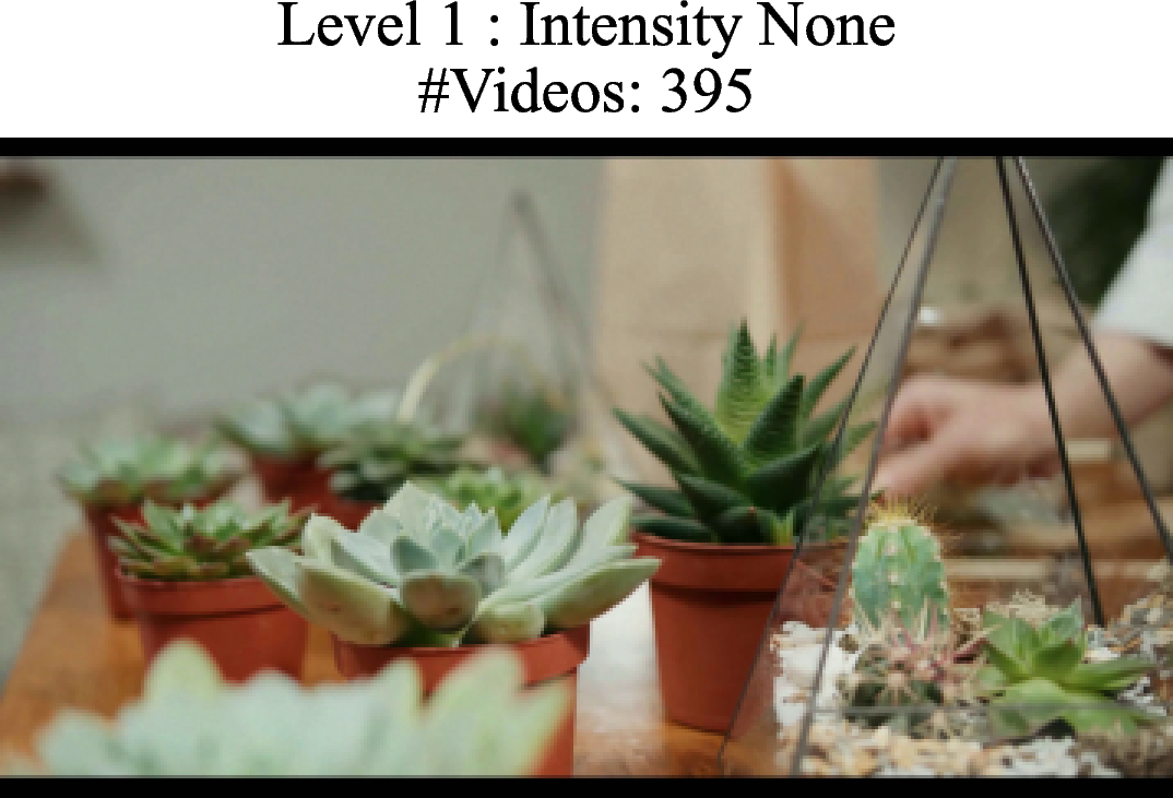 Figure 15: Illustration of Poisson noise distortion. No controllable levels.