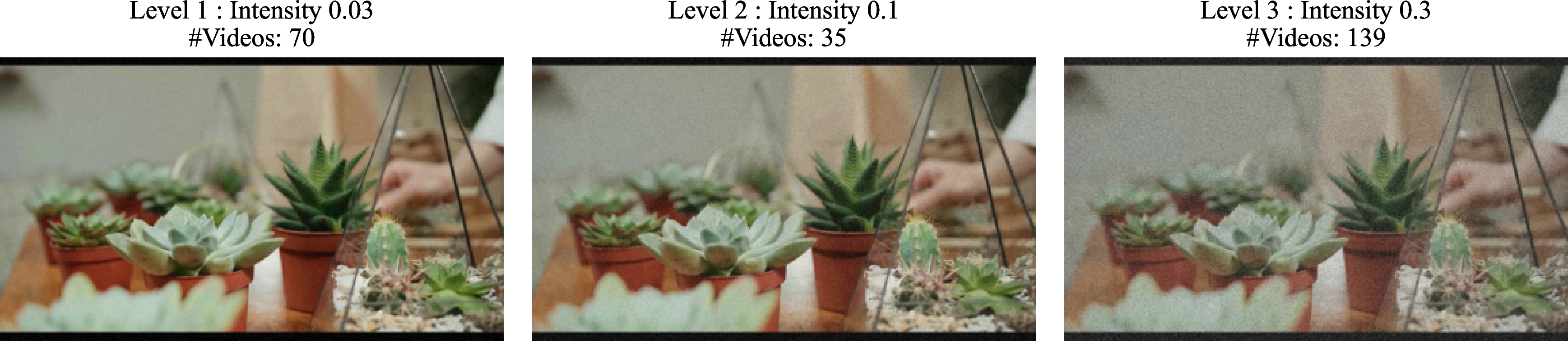 Figure 12: Illustration of salt-and-pepper noise across different intensity levels.
