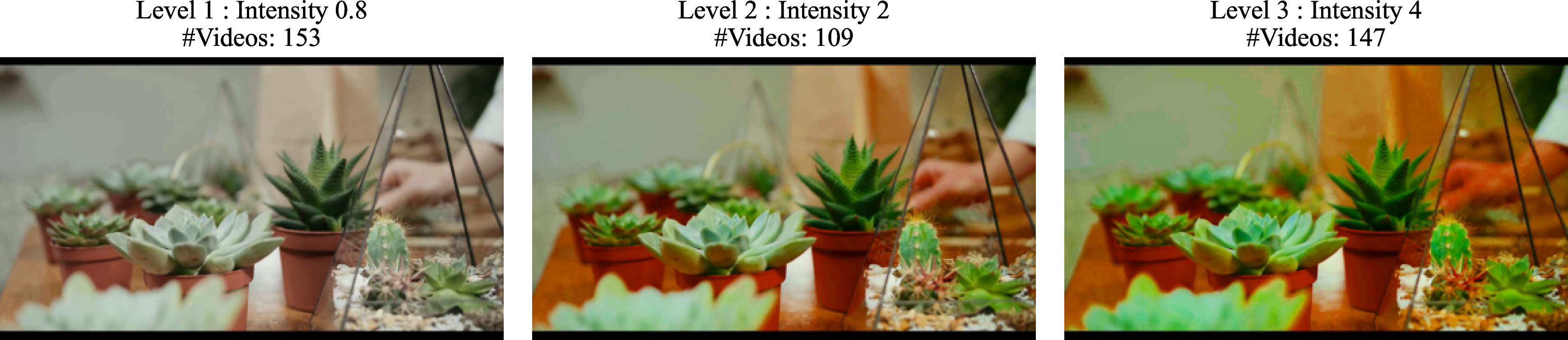 Figure 13: Illustration of saturation shift across different intensity levels.