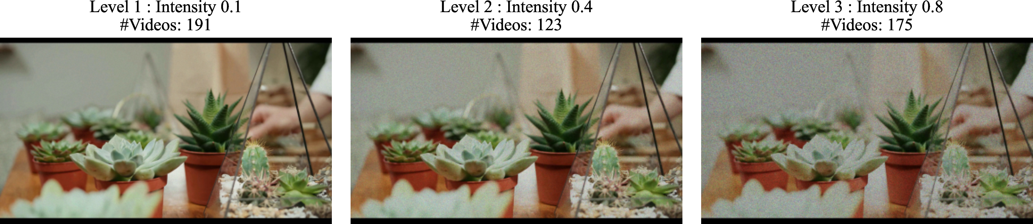 Figure 14: Illustration of speckle noise across different intensity levels.