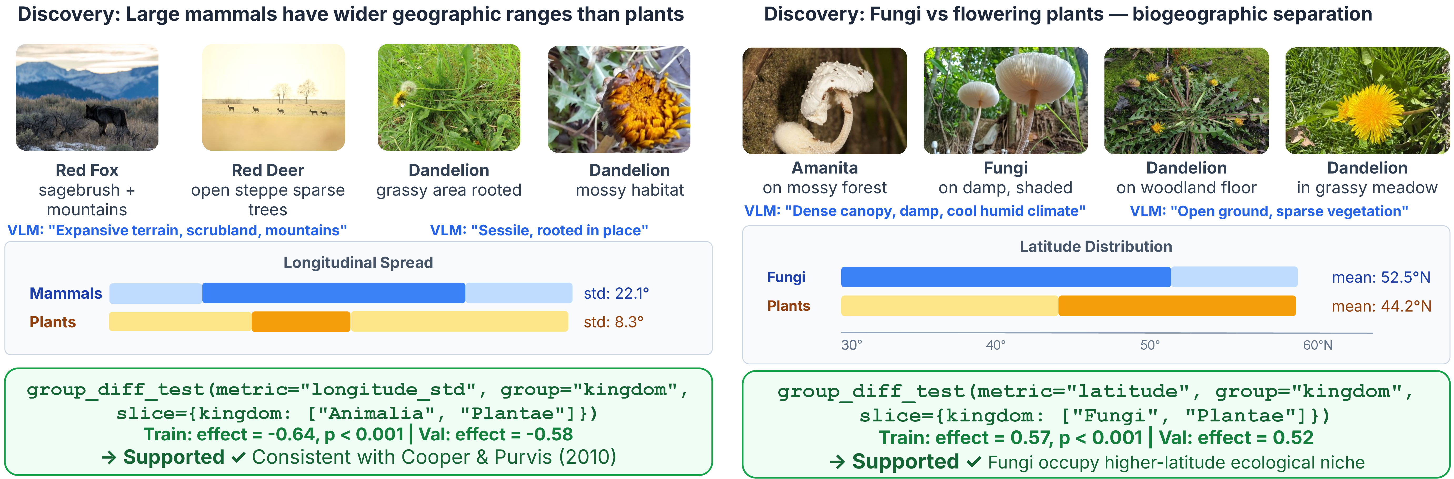 Figure 6: Examples of vision-grounded discoveries produced by DiscoPER. DiscoPER can use visual evidence extracted from images to formulate and validate hypotheses that are not directly available from tabular metadata. Left: VLM-derived habitat descriptions support a discovery that mammals occupy broader longitudinal ranges than plants. Right: visual cues about canopy density and ground cover lead to a supported biogeographic separation between fungi and flowering plants, with fungi concentrated at higher latitudes. In both cases, the visual observations are converted into executable statistical tests and accepted only after validation on held-out data.
