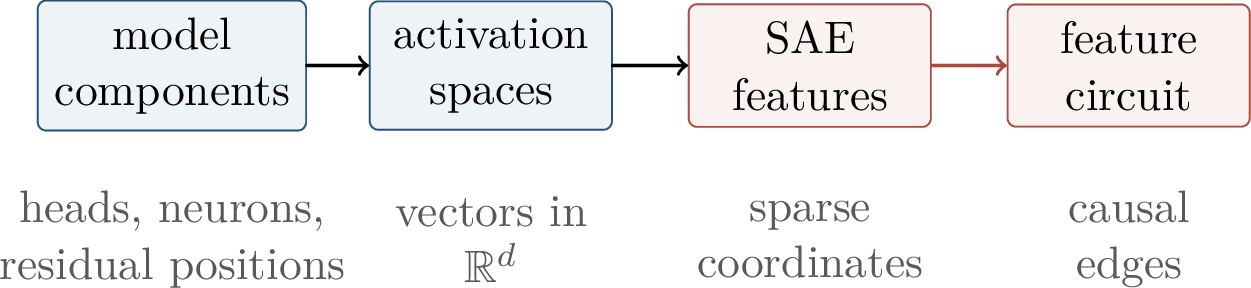 Figure 295: Feature circuits replace dense activation vectors by sparse variables and then study the causal interactions among those variables.