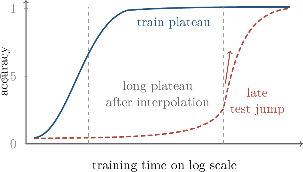 Figure 307: A typical grokking curve: the training metric saturates early, while the test metric improves only after a long delay.