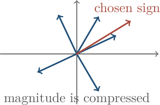 Figure 74: Sign-momentum methods preserve coarse direction while discarding some magnitude information.