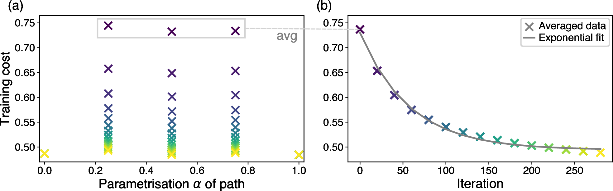 Figure 5: Schematic overview of the convergence analysis applied in the width scaling experiments. Subfigure (a) shows the training cost trace of a neb optimization, with the iteration encoded in color. For each iteration, the cost values of the newly added pivots are averaged to yield a single data point, shown in Subfigure (b) alongside an exponential fit of the form f(x) = ae^{bx}+c, whose decay parameter b serves as the relevant quantity for comparing convergence speed.