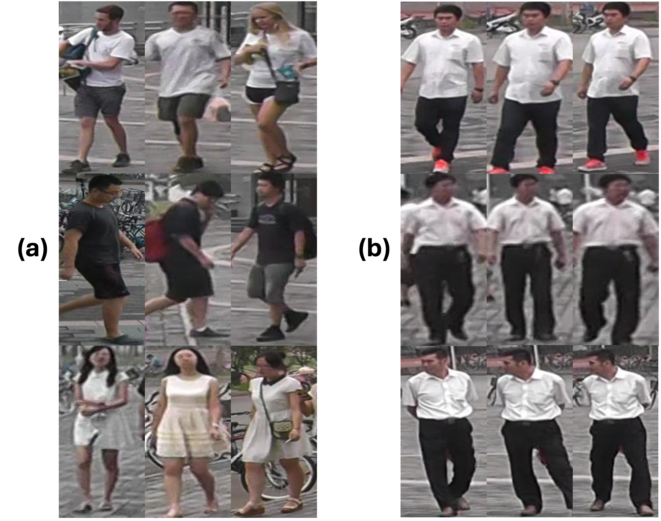 Figure 1: Examples of different identities with similar looks sampled from MARS dataset [8]. (a) Single frames sampled from different identities that have subtle differences in appearance. Each row consists of three different identities. (b) Multiple frames sampled from three identities that look similar but have subtle differences in spatial and temporal aspects. Each row contains one identity.