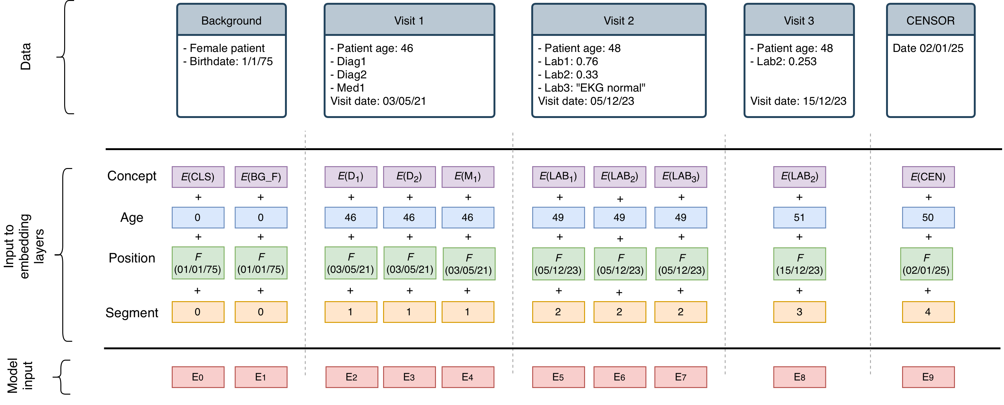 Figure 1: Illustration of a patient trajectory and the corresponding embedding layers forming the final model input. Here, E(x) denotes the embedding function for concepts, and F(x) denotes a function that maps raw timestamps to absolute positional encodings.