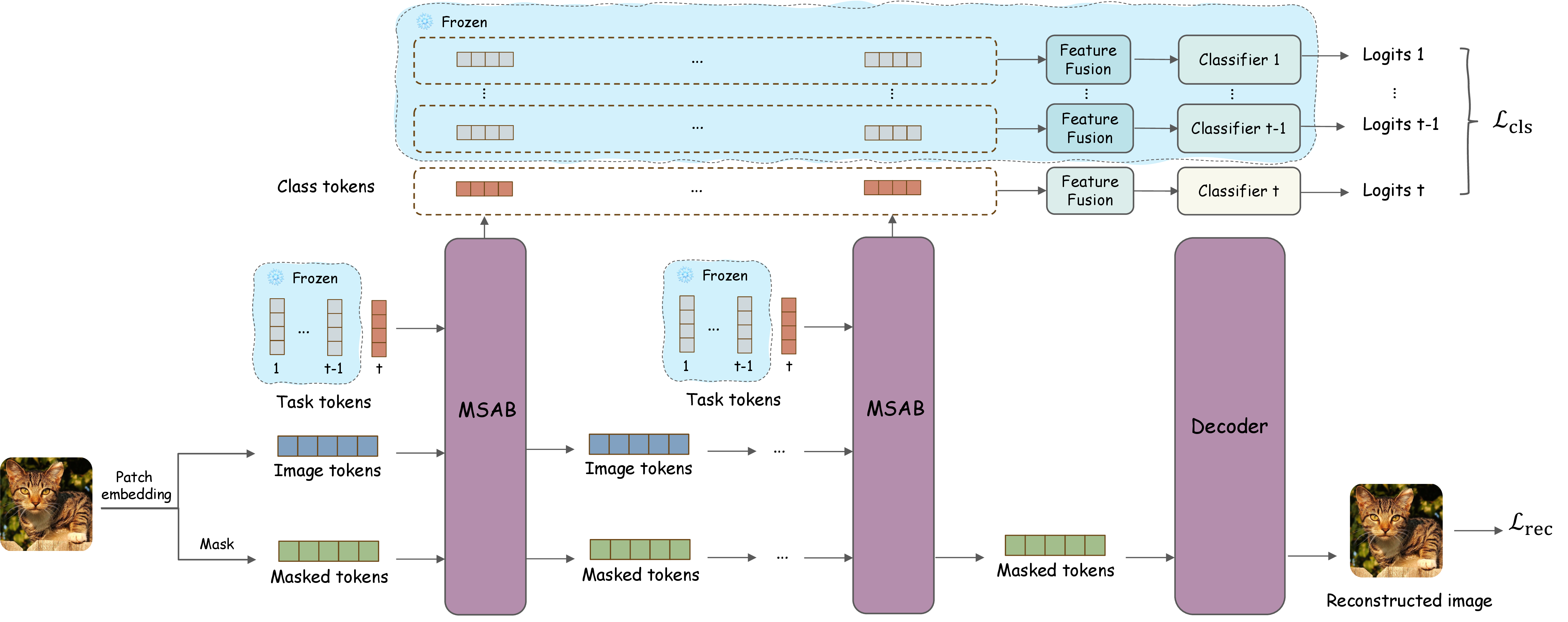 Figure 4: DRDN framework. The backbone consists of multiple Modified Self-Attention Blocks (MSABs) and branches into two paths. The upper (classification) branch expands task-specific tokens and classifiers at every MSAB layer when new tasks arrive; non-current task modules (blue background) are frozen. The lower (reconstruction) branch — one standard self-attention decoder block — is active only during training, guiding the backbone to focus on shared visual representations via masked image reconstruction. Reconstruction gradients flow only through the backbone (dashed arrows).