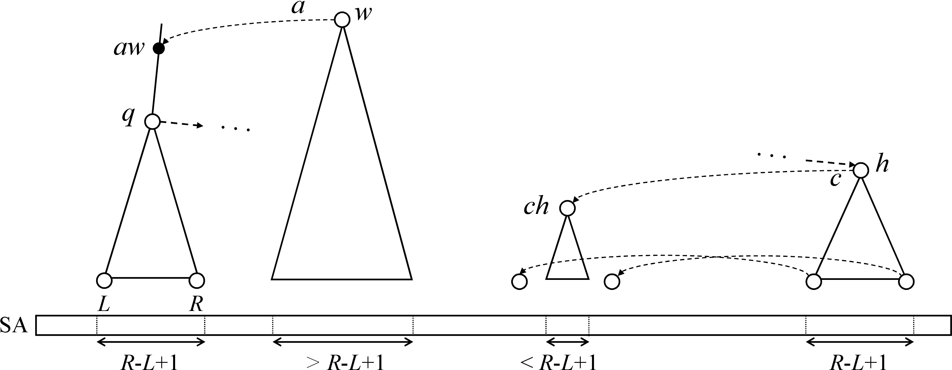 Figure 2: Illustration of the interval computation for a soft Weiner link from a maximal repeat w. The link by a first reaches the locus of aw, and its right closure is q=\overrightarrow{aw} with \mathsf{range}(aw)=\mathsf{range}(q)=[L,R]. The maximal-repeat node h=\overleftarrow{q}=\overleftrightarrow{aw} is found by the left-closure search. Along the valid part of this search, the SA-interval width remains R-L+1; after the maximal left growth, the next candidate left extension ch, where c is determined by shifting the boundary leaves one more position to the left, no longer preserves this width. This failure is detected by the validity test on the two leaves obtained by shifting the leftmost and rightmost leaves of [L,R].