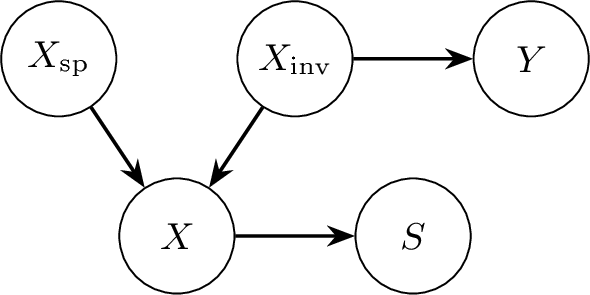 Figure 8: Causal graph of the domain generalization setting. Images are generated from invariant semantic factors X_\text{inv} and domain-specific factors X_\text{sp}. Only X_\text{inv} causally determines the label Y, while X_\text{sp} introduces spurious correlations.