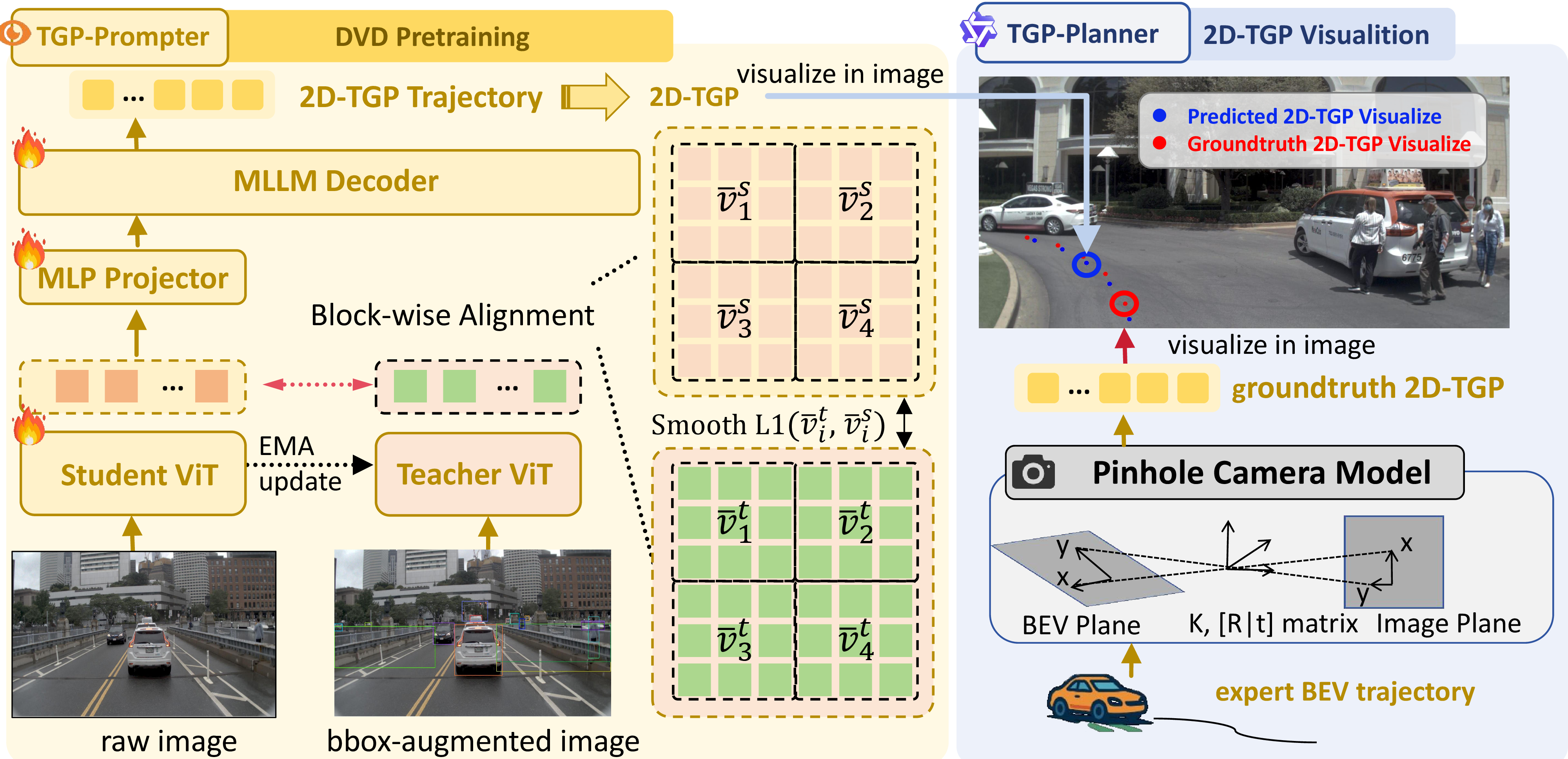 Figure 3: DriveTeach-VLA schemes. Left: Traffic critical object priors are injected via bbox-augmented image self-distillation. Right: The visualized 2D-TGP is highly related to the driving behavior (turn left), and the 2D-TGP conditions TGP-Planner in text form of a sequence of 2D coordinates, which is interpretable for MLLM.