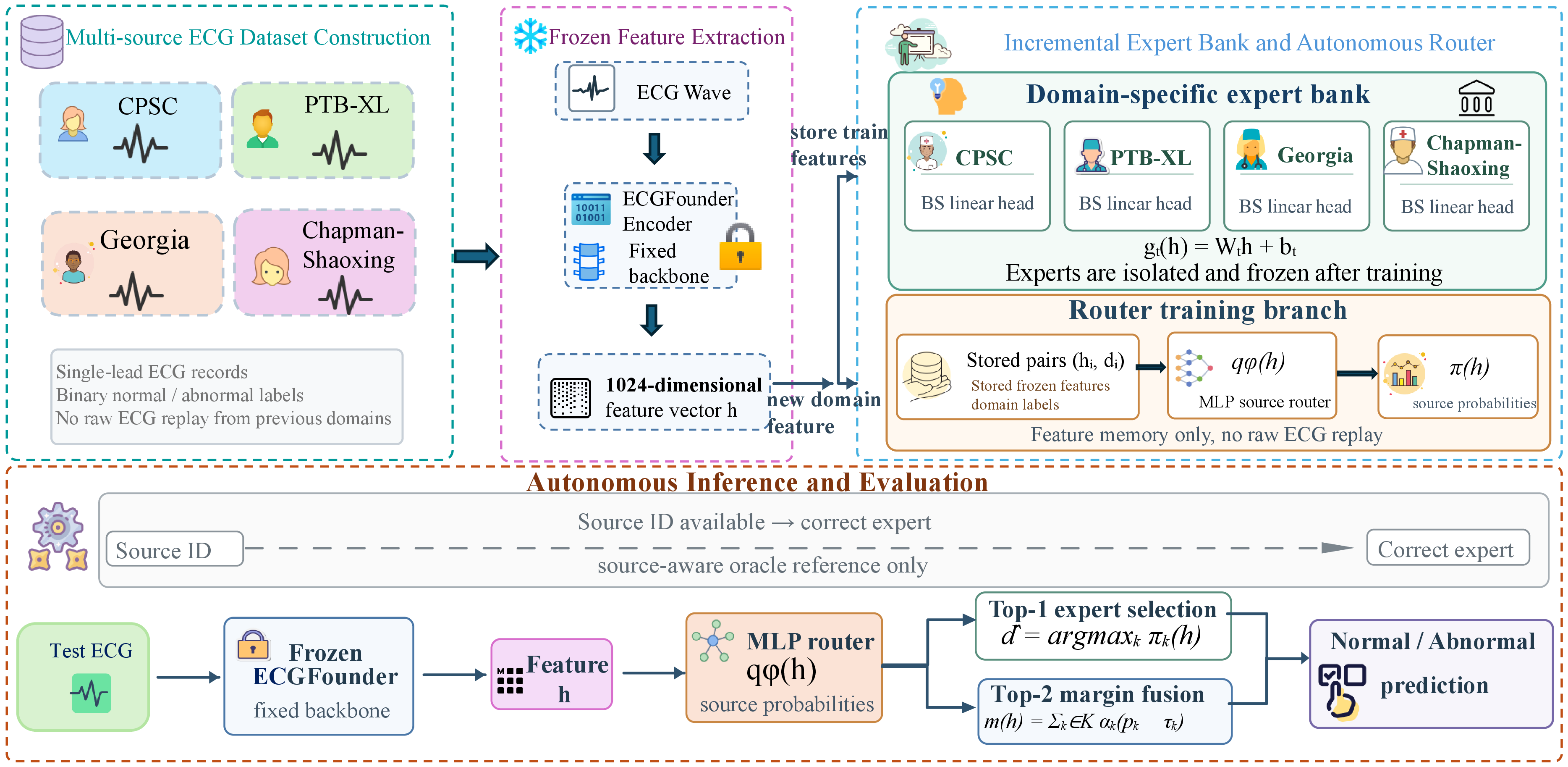 Figure 1: Overview of IRFE-ECG. A frozen ECGFounder encoder maps each ECG to a 1024-dimensional feature vector. Each arriving domain adds an isolated balanced-softmax linear expert, while previous experts and the backbone remain frozen. Frozen train features and domain labels from seen domains are retained to update an autonomous source router without replaying raw ECG waveforms. At test time, source metadata are unavailable; the router selects the most likely experts, and the top-2 variant combines validation-calibrated decision margins. The source-aware path is an oracle reference only and is not used in autonomous deployment.