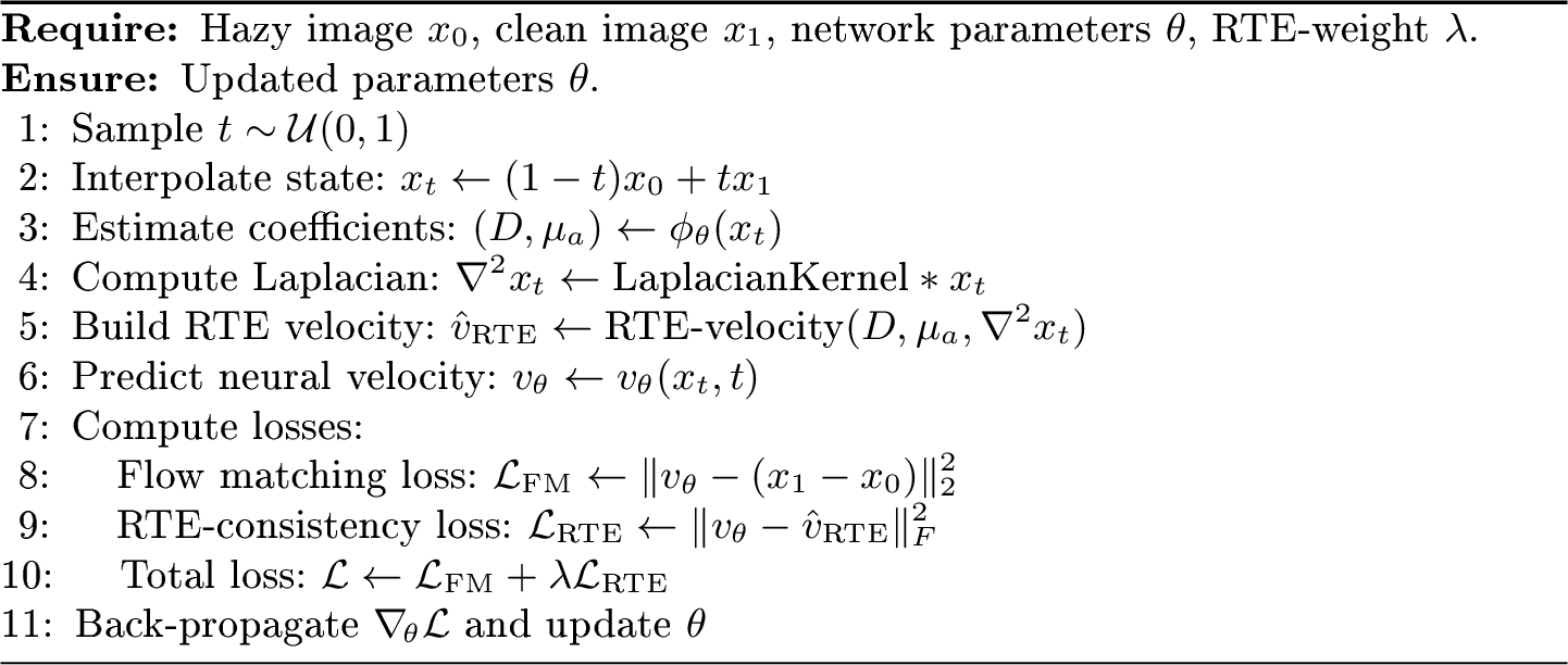 Figure 4: RTE-FM-Dehazer training step for one hazy–clean pair (x_0,x_1).