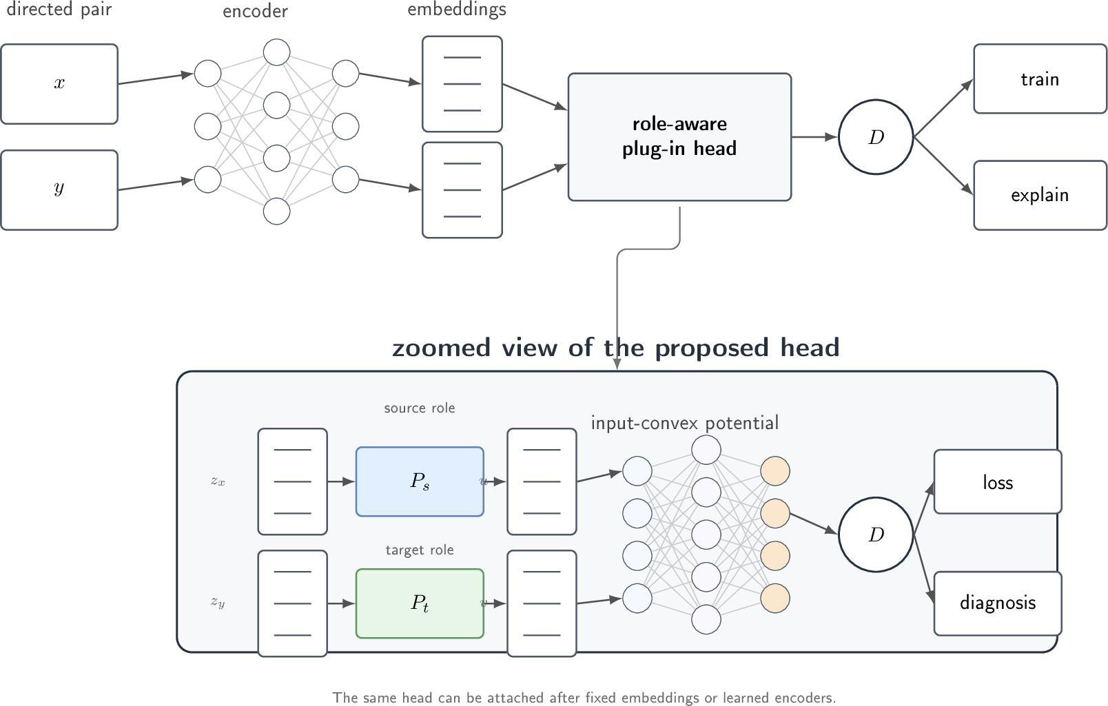 Figure 1: Neural architecture view of the proposed role-aware plug-in divergence head. A directed pair is encoded into two embeddings, the proposed head applies source- and target-role projections, and an ICNN-induced Bregman divergence returns an ordered-pair score. The score is used for pairwise ranking losses and for geometric diagnostics such as directional gaps and local curvature.