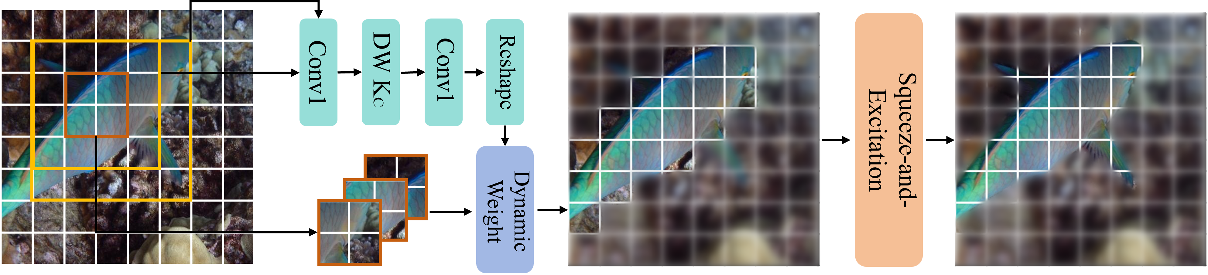 Figure 3: Overall architecture of Dynamic Multi-Granularity. By dynamically generating large-kernel weights, performing multi-scale feature aggregation, and integrating the squeeze-and-excitation channel attention mechanism.