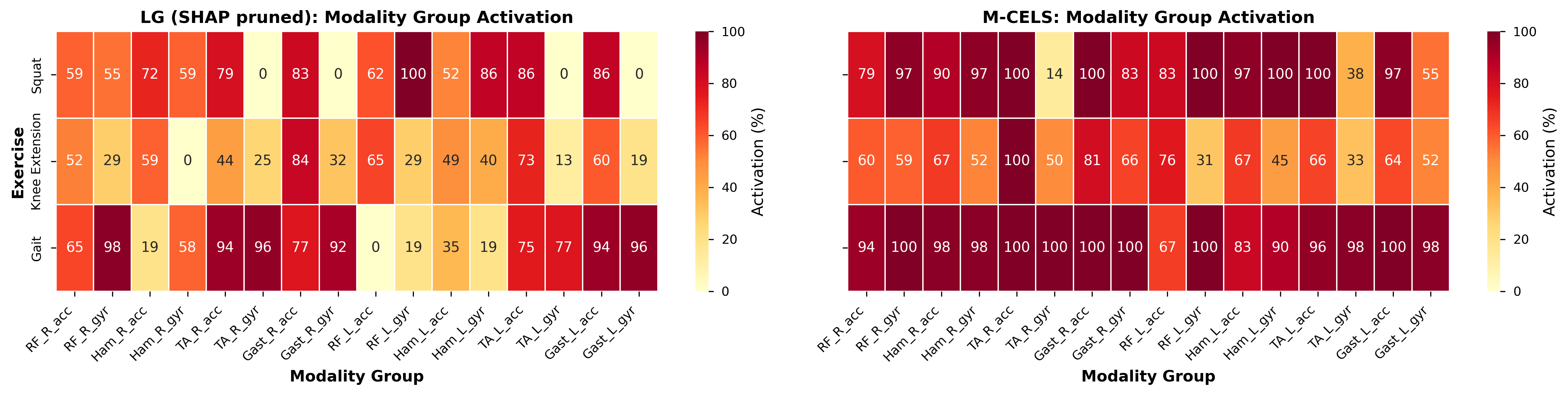 Figure 5: Modality group activation frequency for LG (SHAP pruned) vs. M-CELS across exercises. Heatmaps show the proportion of counterfactuals modifying each modality group. LG yields sparser, exercise-specific patterns consistent with biomechanics, whereas M-CELS shows diffuse group activation.