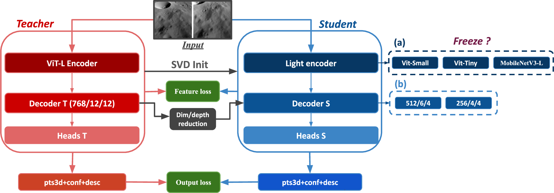 Figure 1: Teacher-student distillation framework. The teacher supervises the student via feature and output losses. (a) Encoders candidates (b) Two compact decoder configurations (dimension/depth/attention heads)