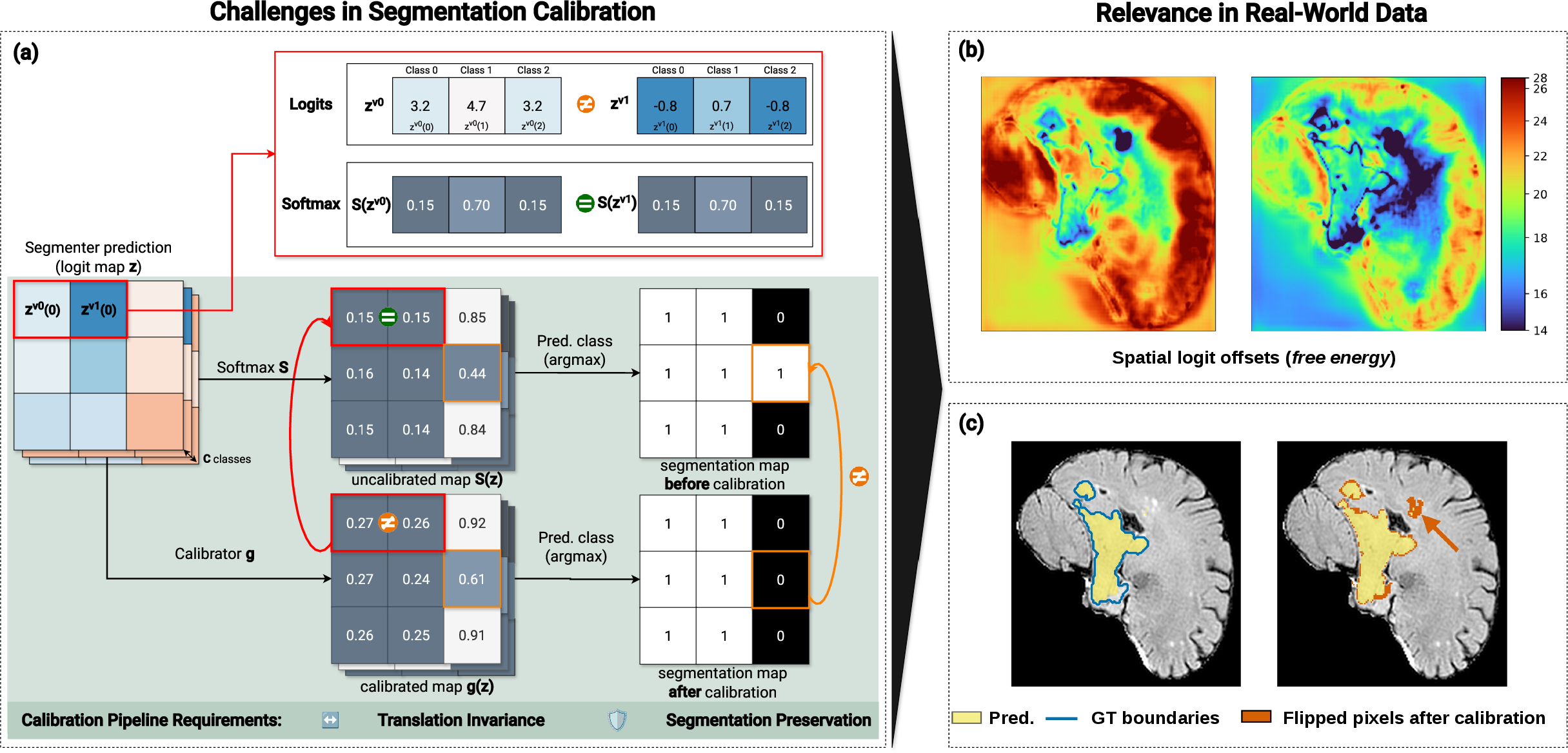 Figure 1: Challenges in Segmentation Calibration: Evidence from Real-World Data. (1) Translation invariance. As illustrated in panel (a), logit embeddings that differ only by a constant offset induce identical class probabilities under softmax, yet a calibrator may produce different outputs for these equivalent representations. Panel (b) shows, for two segmenters, spatial maps of the logit free energy, highlighting that this additive logit component varies across locations in real segmentation outputs. This motivates calibration pipelines that are invariant to such offsets. (2) Segmentation preservation. As shown in panel (a), calibration may change the argmax, flipping labels and altering the segmentation. Panel (c) shows a real example where such flips perturb brain tumor boundaries. A desirable post-hoc calibrator therefore preserves the deployed segmentation while improving confidence estimates.