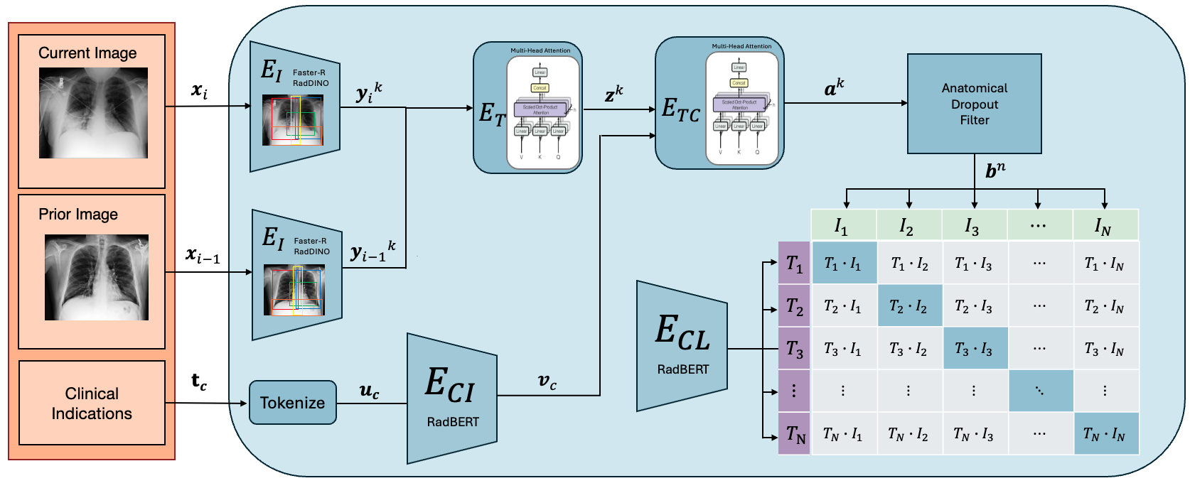 Figure 3: Overview of the proposed STAR3 architecture. The framework jointly processes current and prior chest X-ray images together with associated clinical indications to learn temporally grounded and clinically conditioned region-level representations. Anatomical features extracted using a RadDINO-based detector are fused through transformer-based temporal and clinical cross-attention modules to model longitudinal anatomical changes and clinical context. An auxiliary abnormality prediction branch and anatomical dropout module are incorporated to identify clinically relevant regions prior to region-level contrastive retrieval between anatomical descriptions and localised image representations.