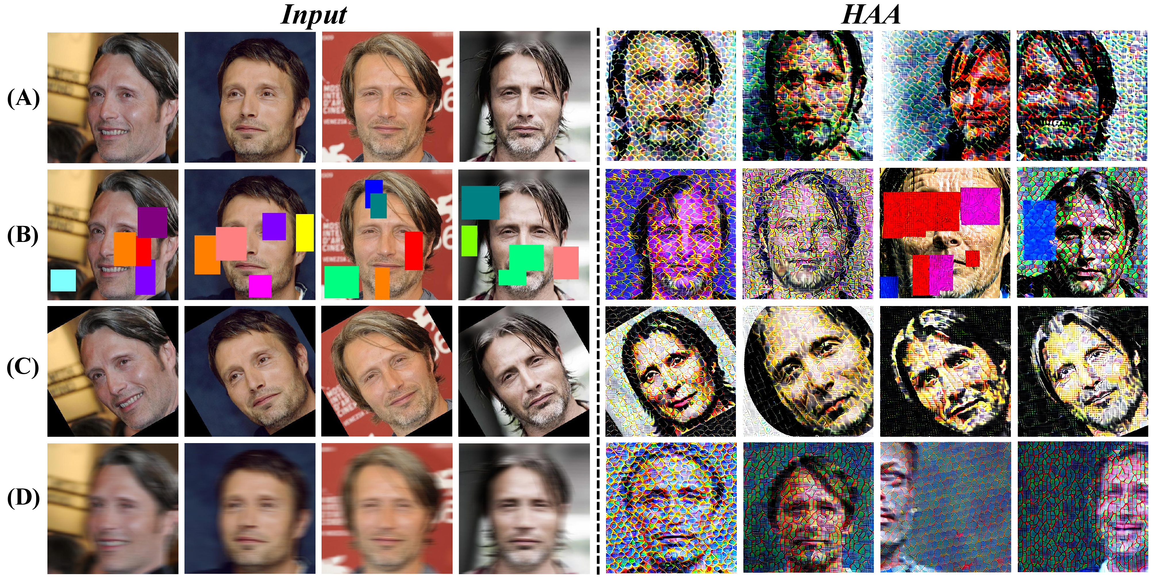 Figure 13: Visualization of HAA’s protection effectiveness under extreme scenarios such as occlusion, rotation, and motion blur. (A) represents the original image, (B) represents random occlusion on the original image, (C) represents rotating the original image by 30 degrees, and (D) represents applying motion blur to the image. The visualization results show that our method remains effective in extreme scenarios.