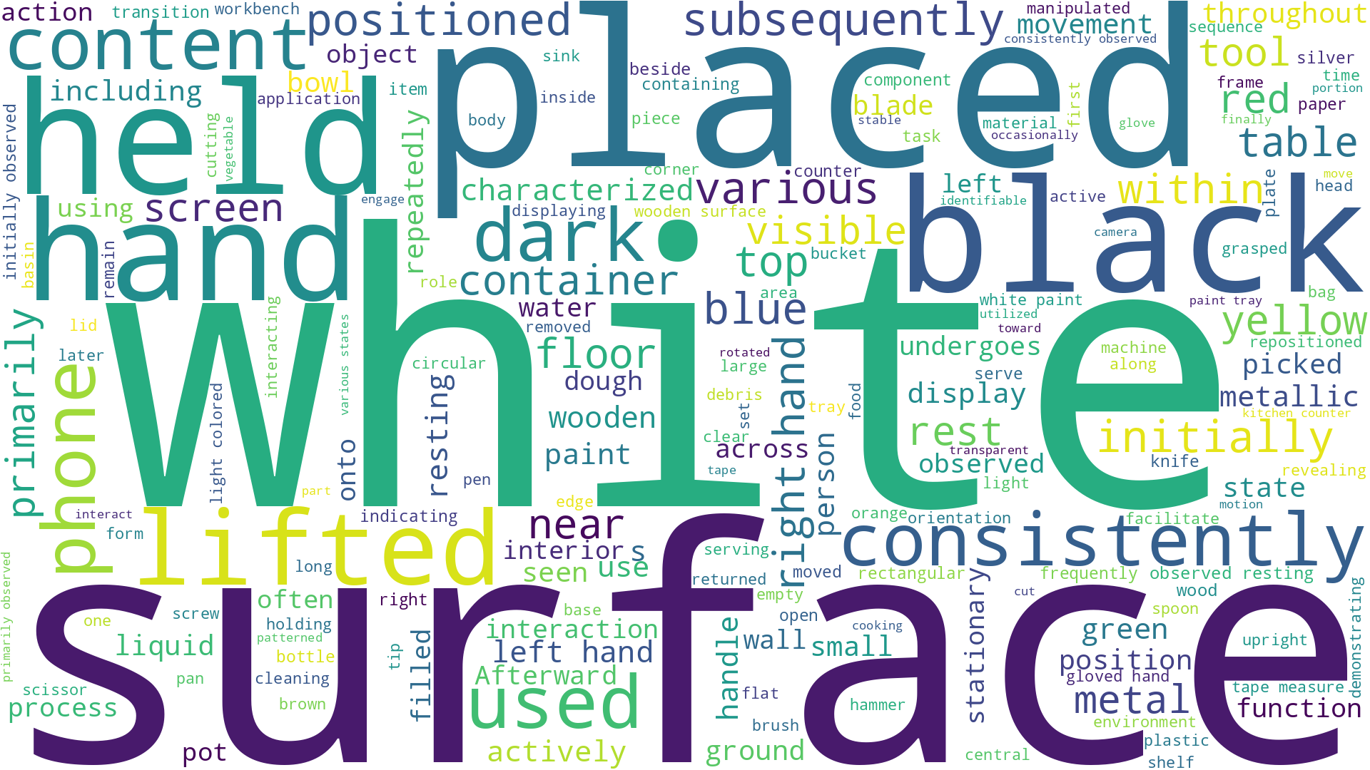 Figure 5: Word cloud visualization of referring expressions in LongEgoRefer.