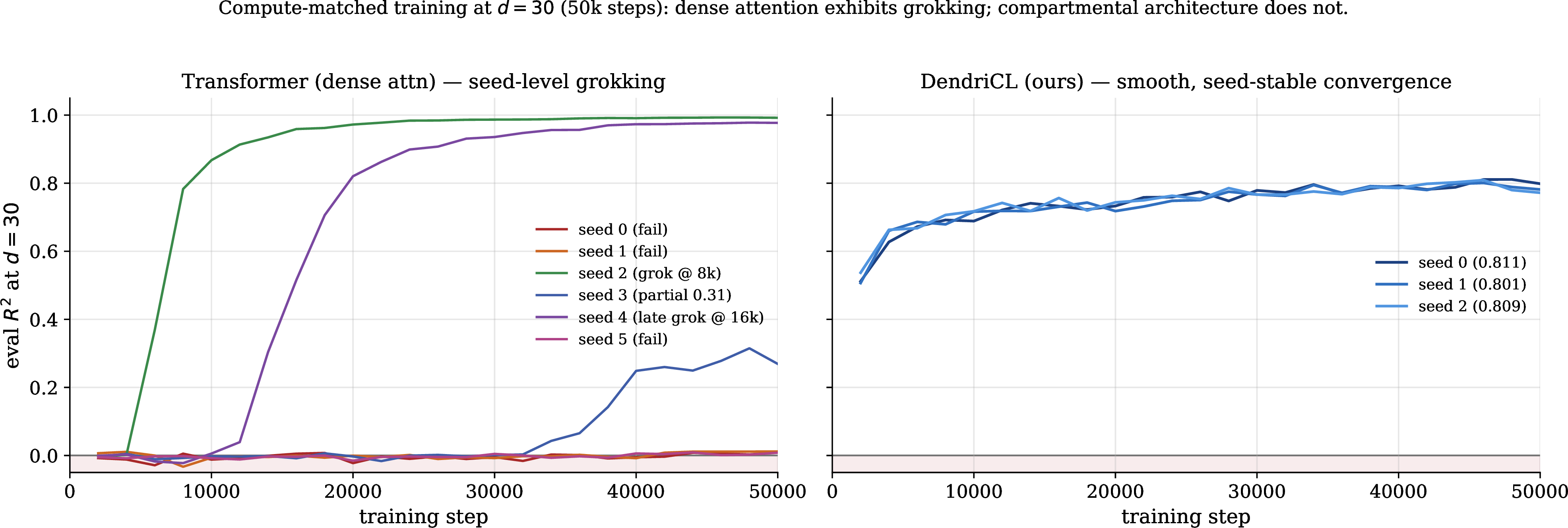 Figure 6: Dense attention exhibits grokking at super-d ICL; compartmental architecture does not. Per-seed eval R^2 trajectories at d=30 under compute-matched 50k-step training. Left: Transformer — seeds 0, 1 remain at the chance floor for all 50k steps; seed 2 undergoes a phase transition at step \sim\!6000 and converges to R^2 = 0.993; seed 3 breaks through late (step \sim\!34000) and is still rising. This is the canonical grokking pattern [38]. Right: DendriCL — all 3 seeds rise smoothly and monotonically from step 0 with \sigma \leq 0.005 at every step. The apical recurrence is the learning algorithm; there is no circuit to grok into.