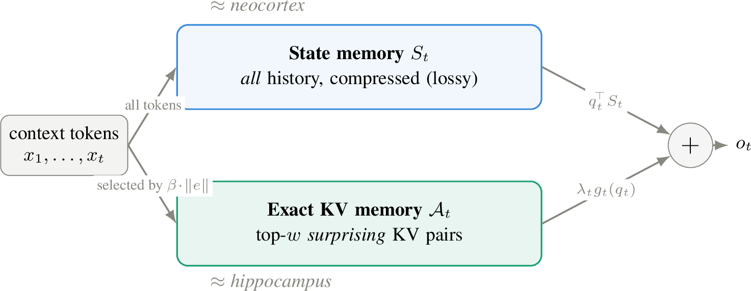 Figure 2: HOLA: semiparametric test-time memory. Every token updates the recurrentstate memory (\approx neocortex; lossy, O(1)), while the tokens with large delta-rule write magnitude\beta\!\cdot\!\lVert e\rVert are additionally kept as exact KV pairs in a bounded exact-KV memory (\approx hippocampus). Theread-out follows the semiparametric form o_t=q_t^{\!\top}S_t+\lambda_t g_t(q_t): a compressive state estimate plusa non-parametric exact-KV read, instantiated with a sharpened softmax in Sec. 3.4.