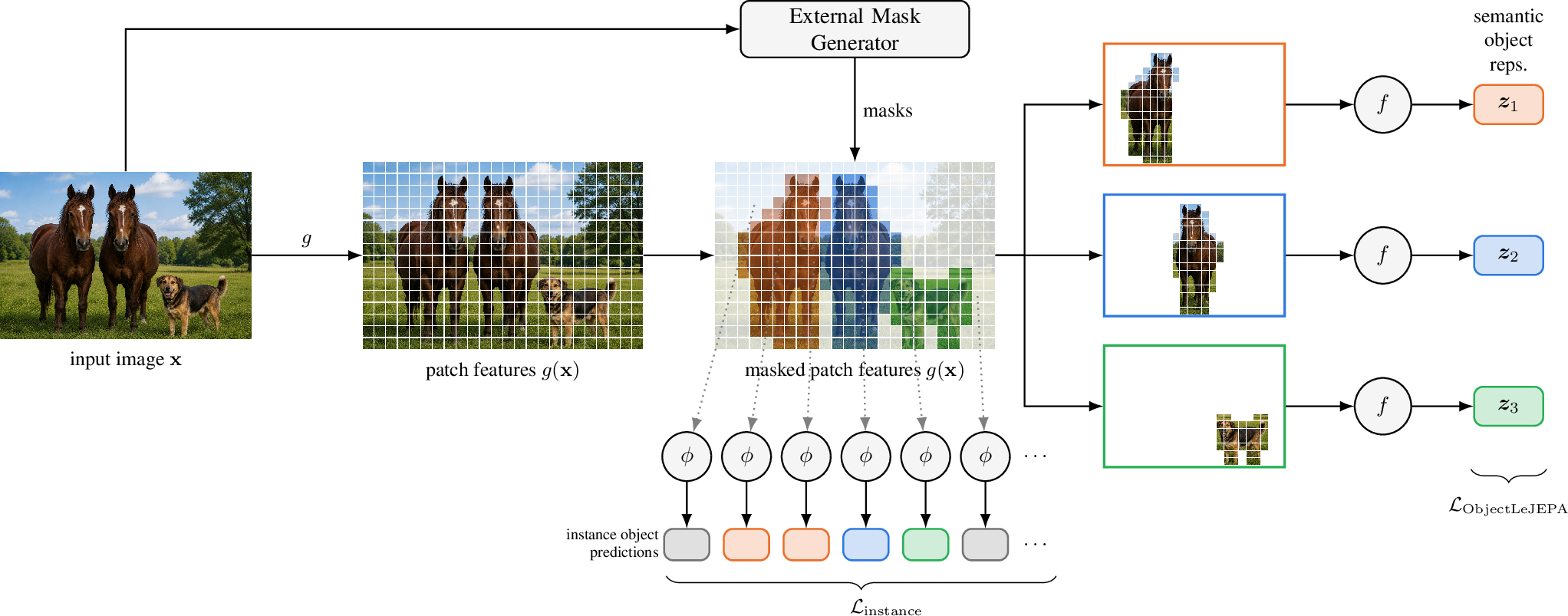 Figure 1: Overview over our training framework. An exemplary input image \mathbf{x}, generated by [1], is embedded by the ViT backbone g into per-patch features. An external mask generator generates object masks for the same image - here two horses and a dog (orange, blue, green). For each object, the aggregator f pools its patch features into a single object representation \mathbf{z}_k. The proposed object-centric LeJEPA loss \mathcal{L}_{\mathrm{ObjectLeJEPA}} (bottom right) shapes their semantic geometry via cross-view alignment, here ideally resulting in the two horses (\mathbf{z}_1,\mathbf{z}_2) having similar representations while keeping the dog (\mathbf{z}_3) different. Every patch is mapped by the instance projection \phi to an instance object prediction (colored by object, background patches in gray). The instance-level contrastive loss \mathcal{L}_{\mathrm{instance}} clusters predictions of the same object together while keeping them separable from other objects and the background.