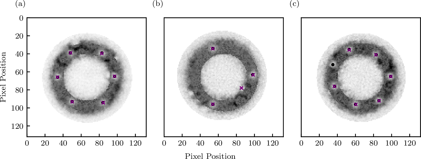 Figure 4: Example synthetic time-of-flight images of ring BECs with quantized vortices showing the ground truth (black circles) and predicted (purple “x”) labels. (a) An example output for the object detector model with the highest F_1 score on the test set. For comparison, in (b) and (c), the model with the lowest F_1 score is used. (b) An example of a false-positive where the model has incorrectly identified a non-existent vortex. (c) An example of a false negative, where the model fails to identify a vortex.