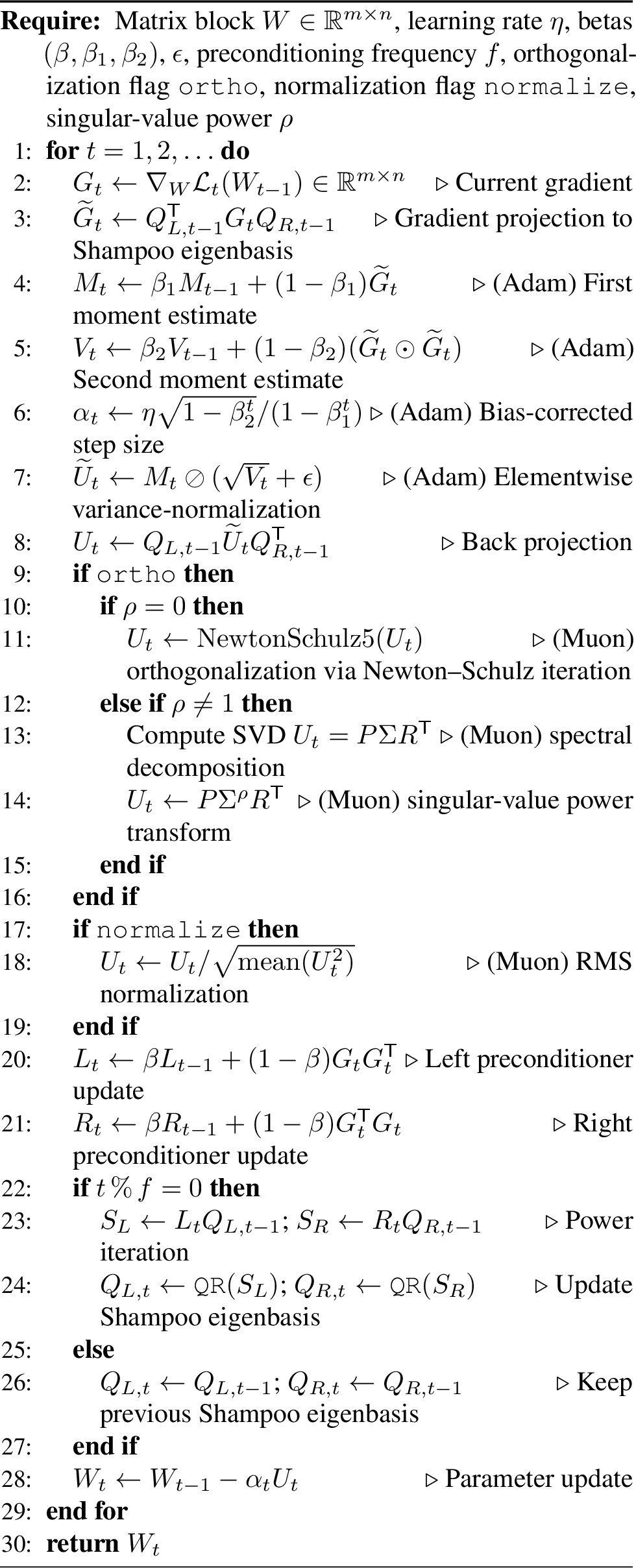 Figure 5: SOAP update with optional Muon-style orthogonalization and normalization [33], [41].