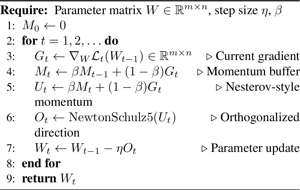 Figure 4: Muon optimizer update [37]