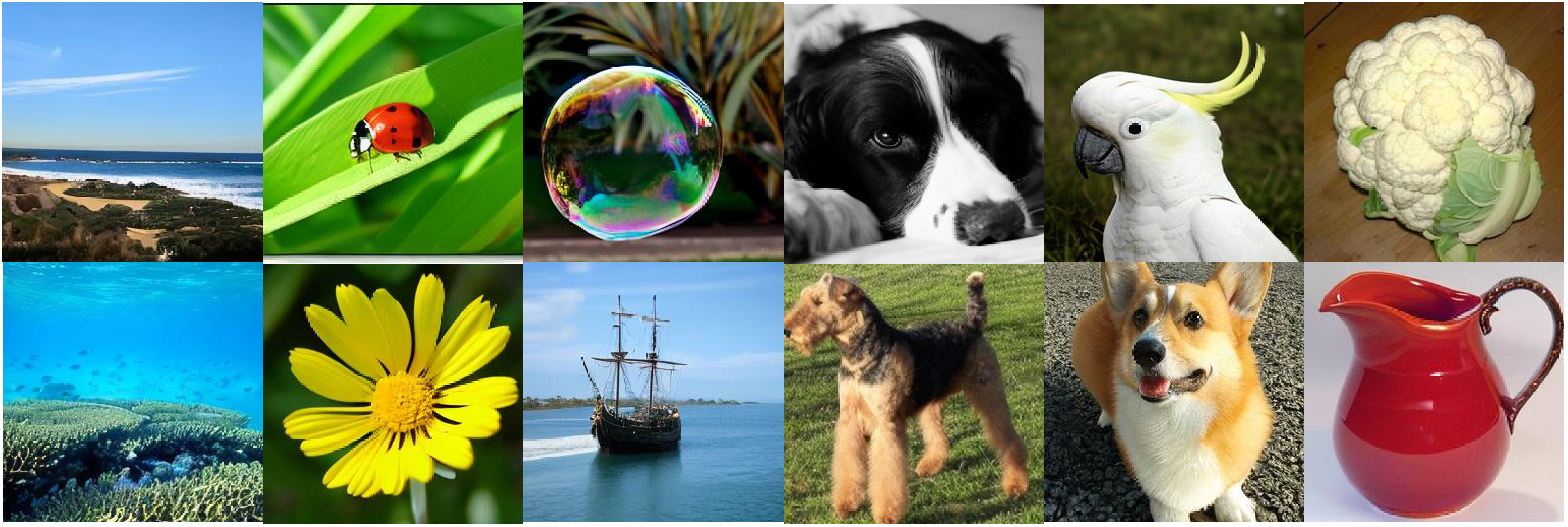 Figure 6: Qualitative results on ImageNet using SiT-XL + ours. We use classifier-free guidance with w = 4.0.