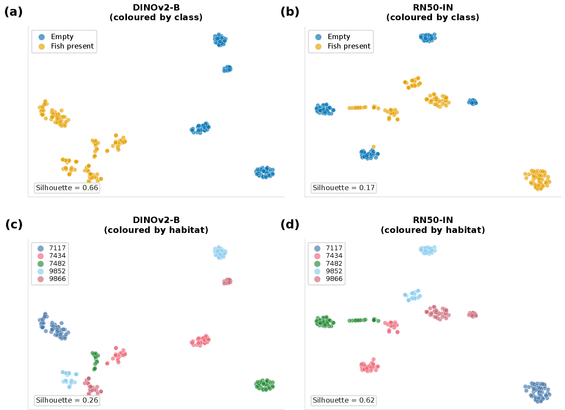 Figure 10: t-SNE visualisation of learned features for 250 DeepFish images across five habitats. Top row: features coloured by class (empty vs.fish present); bottom row: same features coloured by habitat of origin. Silhouette scores (Sil) quantify clustering strength. DINOv2 + LoRA (left) achieves strong class separation (Sil = 0.66) with habitats fully mixed (Sil = 0.26), indicating habitat-invariant representations. ResNet-50 + full fine-tuning (right) shows weak class separation (Sil = 0.17) but strong habitat clustering (Sil = 0.62), indicating reliance on habitat-specific visual shortcuts.