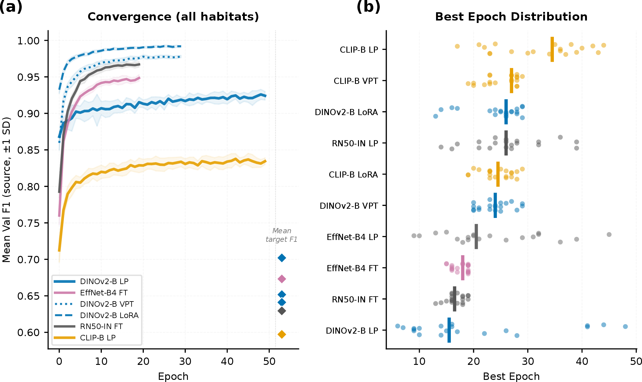 Figure 11: Training dynamics (Protocol A). (a) Convergence curves showing mean validation F1 (\pm 1 SD) over epochs, averaged across all habitats, for the top six model–adaptation combinations. Diamond markers on the right show mean target test F1. DINOv2 linear probe converges in 2–3 epochs. (b) Distribution of best epoch across all runs per combination; median lines overlaid.