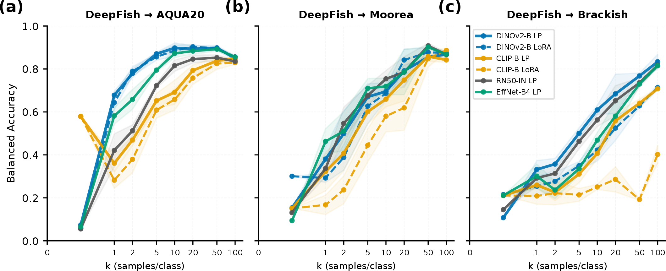Figure 8: Few-shot adaptation curves (Protocol C). Three panels correspond to transfer scenarios of increasing difficulty: DeepFish to AQUA20 (left), Moorea (centre), and Brackish (right). Balanced accuracy is plotted for six model–adaptation combinations; shaded regions indicate \pm​1 standard deviation across five sampling trials (k \leq 20) or three trials (k \geq 50). DINOv2 LP reaches near-maximum performance by k = 5–10 on all transfers. CLIP zero-shot (k = 0) provides a useful starting point on AQUA20 but not on harder transfers.