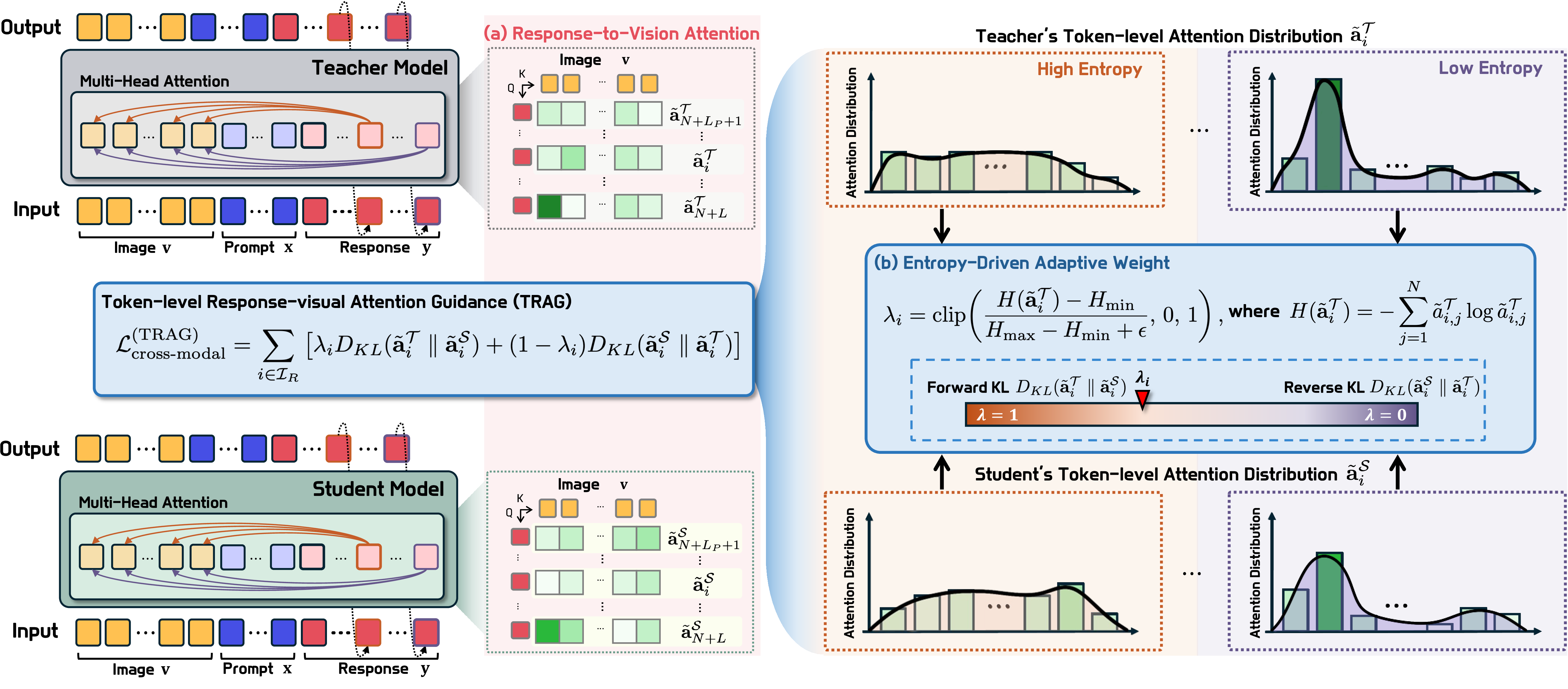 Figure 1: Overview of Token-level Response-visual Attention Guidance (TRAG). (a) TRAG distills cross-modal grounding by isolating Response-to-Vision attention, anchoring the student’s attention distribution (\tilde{\mathbf{a}}^{\mathcal{S}}_{i}) to the teacher’s (\tilde{\mathbf{a}}^{\mathcal{T}}_{i}). (b) It dynamically modulates the distillation objective \mathcal{L}_{\text{cross-modal}}^{(\text{TRAG})} for each response token via an entropy-driven adaptive weight \lambda_i, derived from the teacher’s attention distribution entropy H(\tilde{\mathbf{a}}^{\mathcal{T}}_{i}). By shifting this weight toward the mean-seeking Forward KL for high-entropy distributions and the mode-seeking Reverse KL for low-entropy targets, TRAG ensures the student accurately mirrors the teacher’s dynamic visual grounding during response generation.