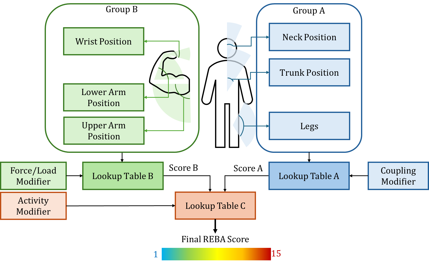 Figure 1: REBA Assessment Protocol. Postural risk is calculated by scoring two groups: Group A (blue) and Group B (green). The circular sectors specify angular scores used for cross-referencing in standarised Lookup Tables, which are further combined with external modifiers. The resulting score (1 to 15) categorises the posture into several risk levels, from negligible (1) to very high (11+).