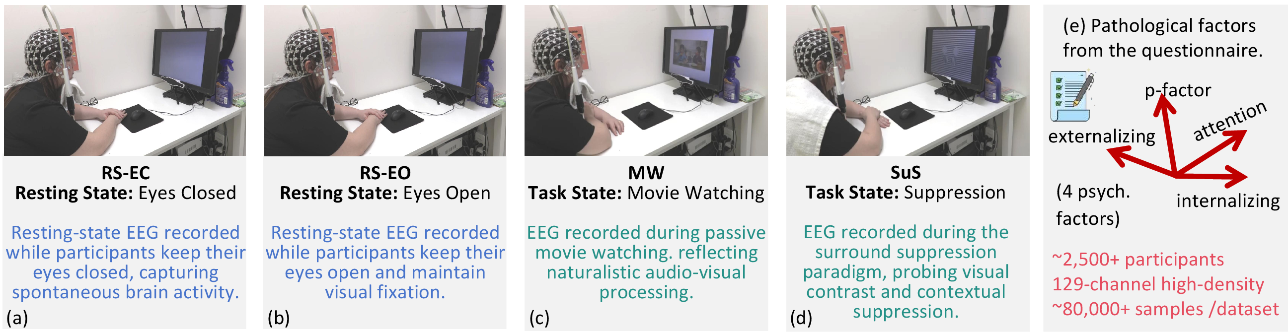 Figure 1: Overview of the experimental datasets. (a) Resting-state with eyes closed (RS-EC). (b) Resting-state with eyes open (RS-EO). (c) Passive movie watching (MW). (d) Surround suppression (SuS). (e) Four psychopathology dimension scores derived from the Child Behavior Checklist (CBCL) via a bifactor model: p-factor, internalizing, externalizing, and attention. The dataset comprises approximately 2,600 participants aged 5–21 years, with 129-channel high-density EEG recordings and over 80,000 4-s epochs per paradigm.