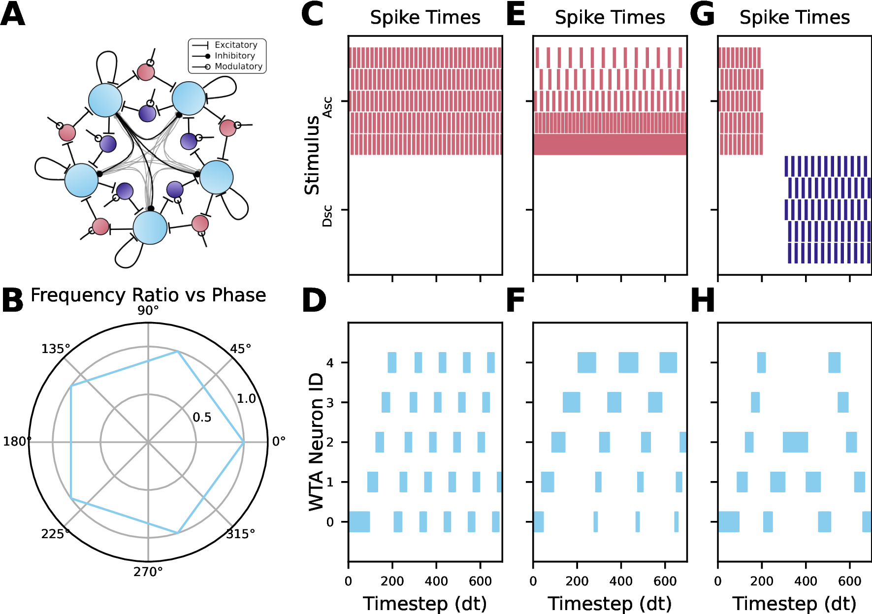 Figure 6: Accessory populations facilitate controlled perturbations for system-wide rotation in a winner-take-all (WTA) network with N=5 WTA neurons. (A) Schematic representing the rotational mechanism.(B) We can plot the activity of the rotating WTA network in polar coordinates. The identity of the active neuron corresponds to a specific angular range \phi, and the radius r is the firing frequency scaled by the maximum firing rate. Stimulation applied to the ascending rotation population (C, E, G, top/red) induces rotation with neurons of increasing index, and stimulation to the descending population (C, E, G, bottom/purple) performs the opposite. Rotation can be seen in the WTA population (D, F, H) as a sequence of activity. Constant input to the ascending population (C, D) causes rotation with uniform speed. Varying the stimulation level to each individual rotation neuron (E, F) causes a likewise shift in activation period across the WTA, stabilizing after an initial warmup period. Changing stimulation from the ascending to descending populations (G,H) causes the network to stop rotating, then switch directions. All spiking activity was recorded on SpiNNaker2.