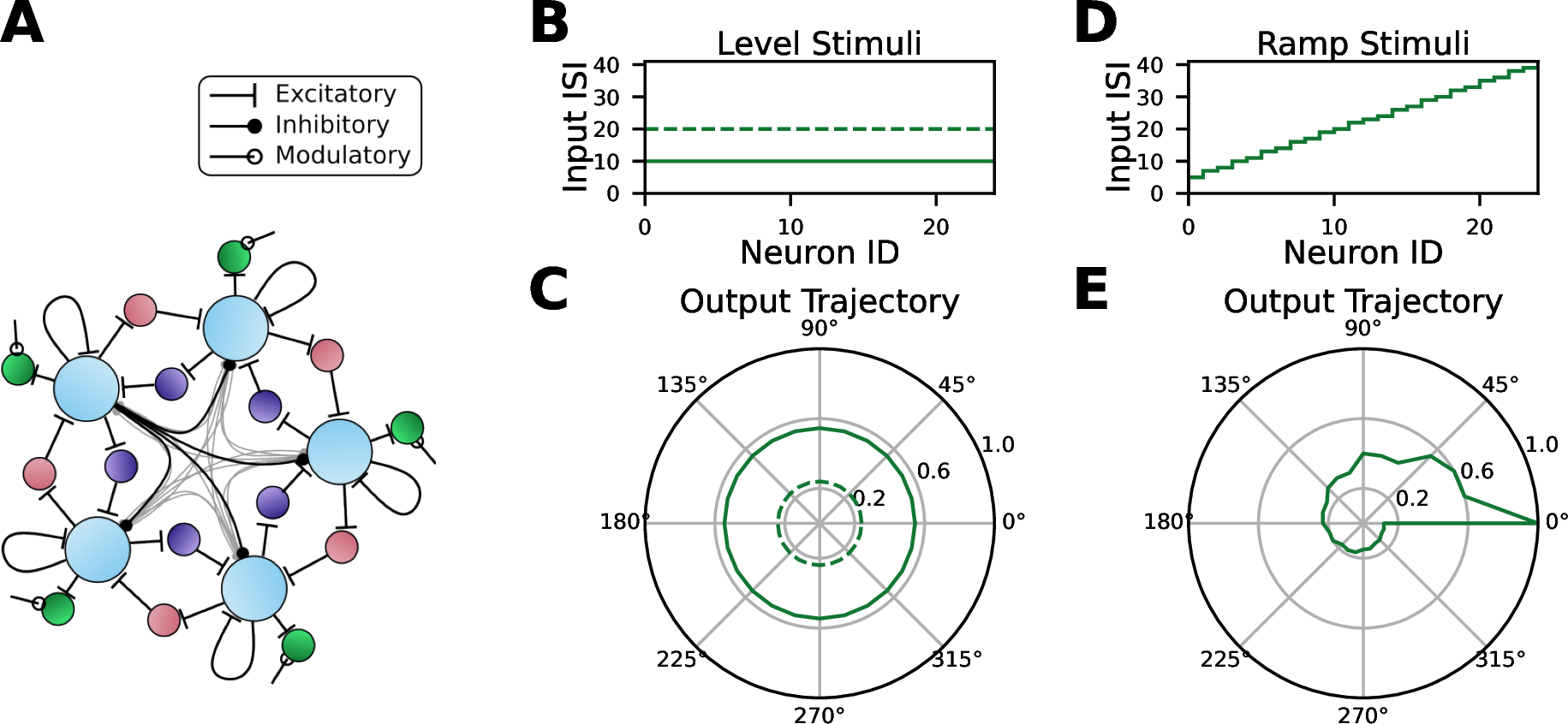 Figure 7: Modulation of a readout population allows control of polar radii. (A) Schematic of the readout architecture. Each neuron in the winner-take-all (WTA) circuit excites a single neuron in the readout population. Each neuron in the readout population also receives modulatory input from external stimulation. By plotting the output activity in polar coordinates, with the active neuron corresponding to the phase and the readout firing rate controlling the radius, we generate a polar trajectory. (B) Driving the readout population with a smaller ISI (higher frequency) causes a higher radius, and raising the ISI (lowering the frequency) causes the radius to decrease. (C) This stimulation is decoupled from neuron to neuron, allowing individual control of the resulting radii from every neuron in the WTA. All polar trajectories are derived based on recorded spiking activity on SpiNNaker2.