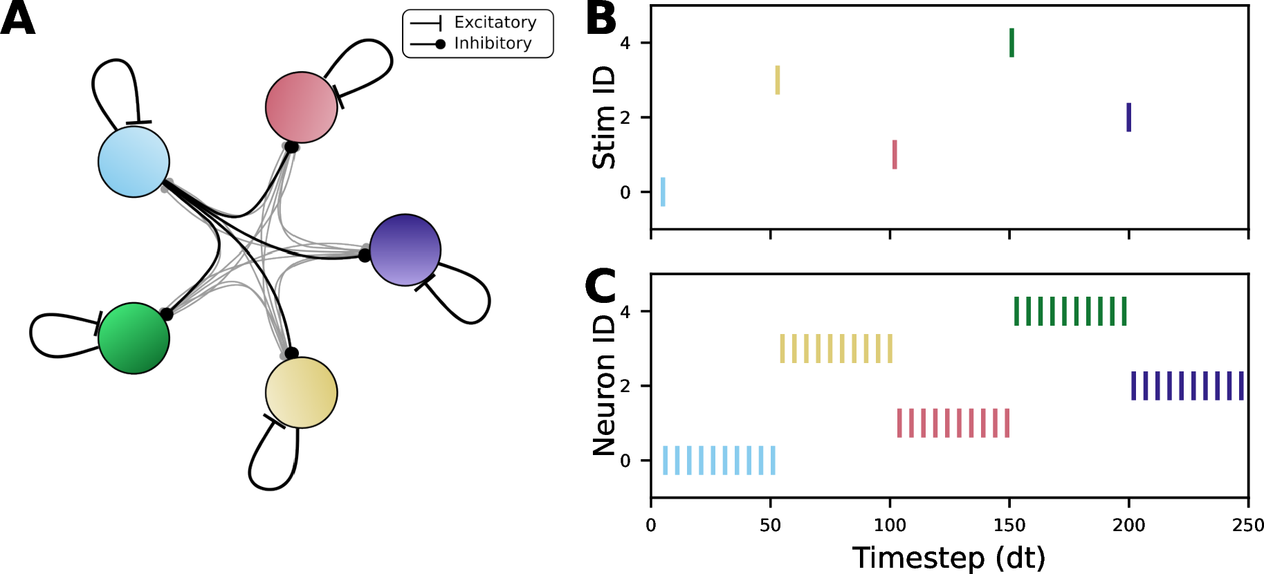 Figure 5: Winner-take-all (WTA) architecture, pictured with N=5 neurons. (A) Neurons with self-excitatory recurrence are arranged topologically in a ring, with inhibitory connections to every other neuron in the ring. Inhibition is tuned such that once a neuron receives an external stimulus (B), then that neuron starts to fire and suppresses activity in all other neurons (C). In this manner, there is only one active neuron in the network at any time. All activity was recorded on SpiNNaker2.
