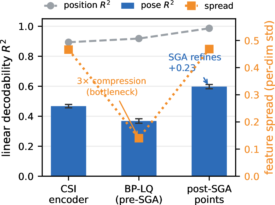Figure 4: Stage-1 module roles (RePos-D on Person-in-WiFi-3D, where the root spans 2.7{\times}1.9 m). Linear decodability of pose (R^2, bars) and absolute position (R^2, gray line), with feature spread (orange). BP-LQ is a 3\times compression bottleneck (pose decodability dips and spread drops 0.47{\to}0.14), while SGA refines pose the most (+0.23). Position stays fully encoded throughout, as the direct variant intends.