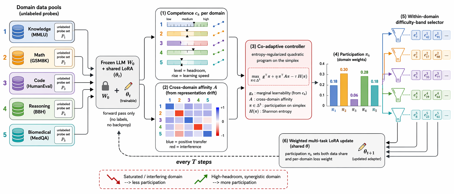 Figure 2: Overview of CoDA. At each round the current shared adapter is run forward (no labels, no backprop) over a small unlabeled probe per domain to read two signals: a per-domain competence c_k (its level is headroom, its rise is learning speed) and a cross-domain affinity \boldsymbol{A} from the drift of probe representations (which domains pull the adapter compatibly). A co-adaptive controller solves an entropy-regularized quadratic program on the simplex, turning a marginal-learnability term g_k and the affinity coupling into a participation vector \pi. Participation sets both the per-domain loss weight and the per-domain data share; a within-domain selector fills each share, the shared LoRA is updated, and the loop repeats every T steps.