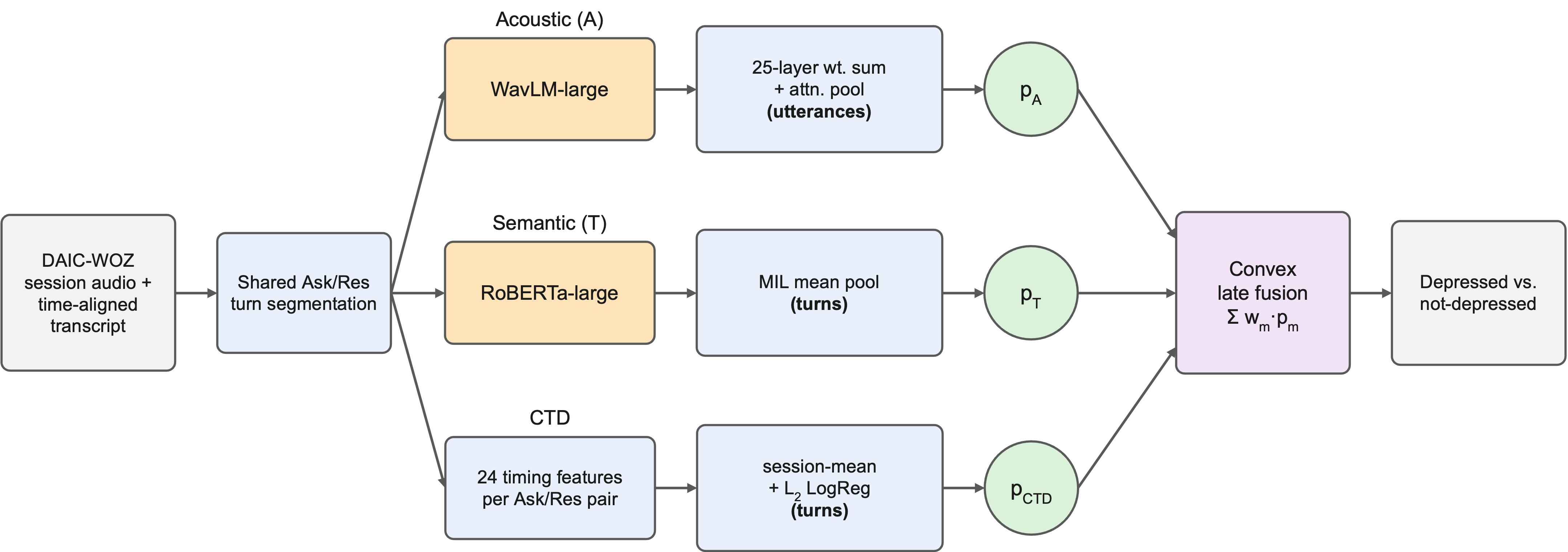Figure 1: Tri-modal pipeline. All three detectors share one Ask/Res turn segmentation of the same interview, but differ in instance granularity: the frozen WavLM-large acoustic branch pools over participant utterances, while the RoBERTa-large semantic branch and the 24-d CTD branch pool over participant turns. Each branch emits one session-level depression probability (p_A, p_T, p_{\mathrm{CTD}}); score-level convex fusion combines them with dev-tuned weights and a dev-tuned threshold. The learned three-way weights (0.0,\,0.3,\,0.7) drive the acoustic stream to zero, so the deployed system reduces to RoBERTa+CTD.