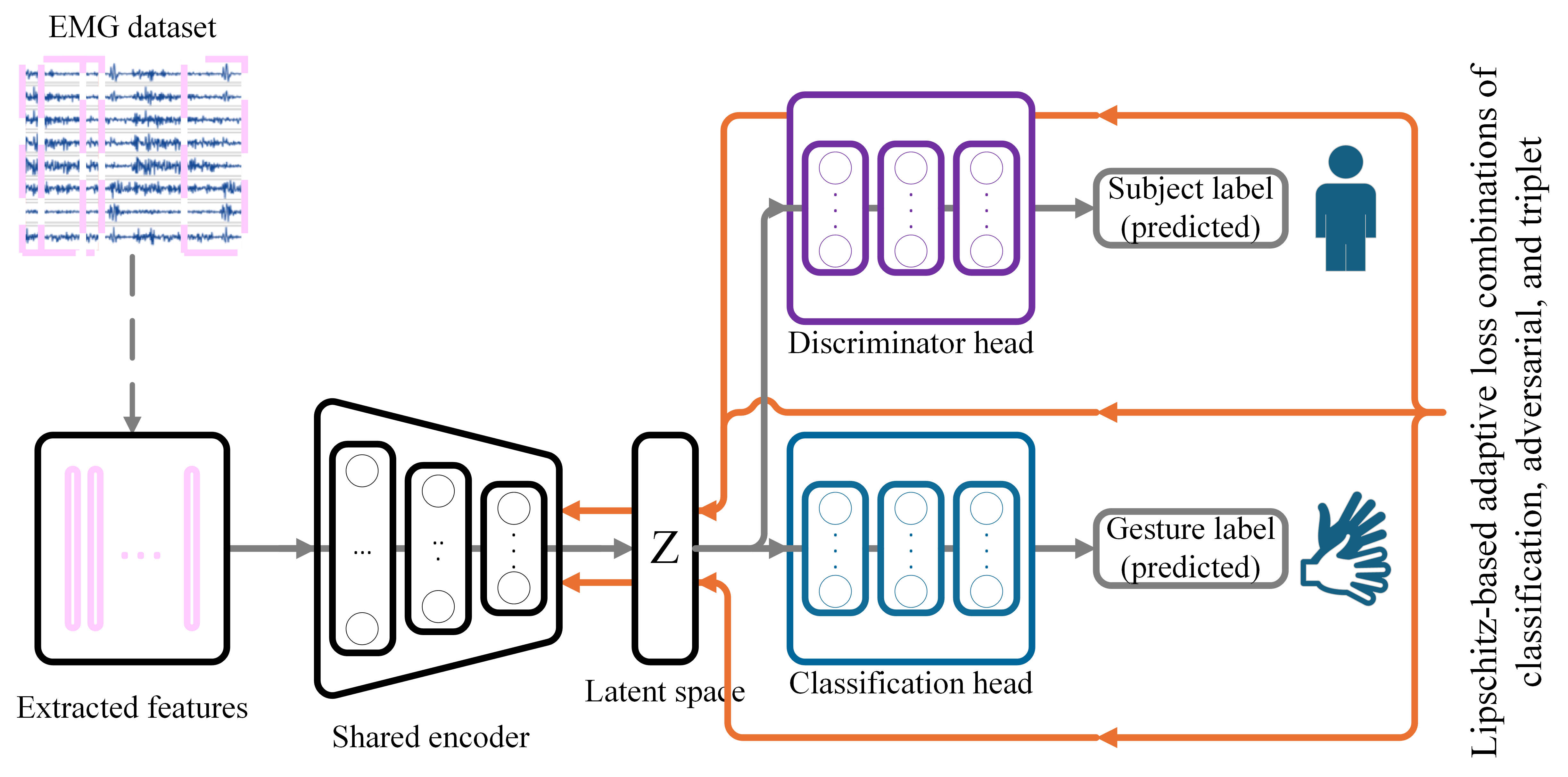 Figure 1: Overview of the proposed conservative subject invariant network (CSIN) for sEMG-based gesture recognition. The model consists of a shared feature encoder and two heads: a gesture classification head and a subject classification head. The encoder learns a disentangled latent representation that is intra-class compact, inter-class separable, and invariant to subject-specific characteristics. Forward flow of data and backward gradients are shown in gray and orange solid lines, respectively. The feature extraction step is shown in a dashed line.