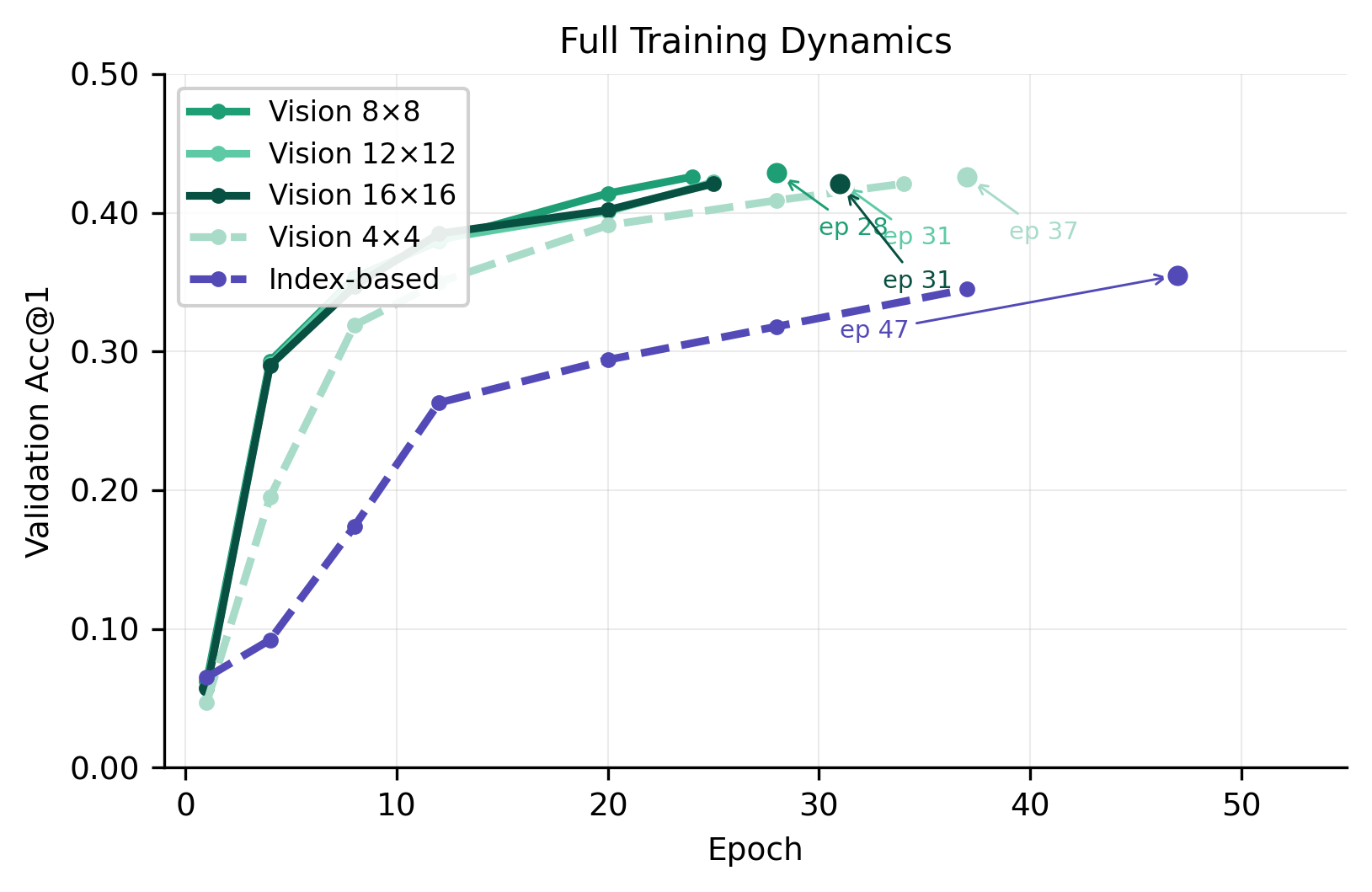 Figure 4: Full training dynamics for all Vision patch-size variants and the Index-based baseline under clean conditions. Each Vision model’s line ends at its early stopping epoch (circle marker): 8{\times}8 at epoch 28, 12{\times}12 and 16{\times}16 at epoch 31, and 4{\times}4 at epoch 37. The Index-based baseline (dashed) continues to epoch 47. All Vision variants substantially outperform the Index-based baseline at their respective peaks.