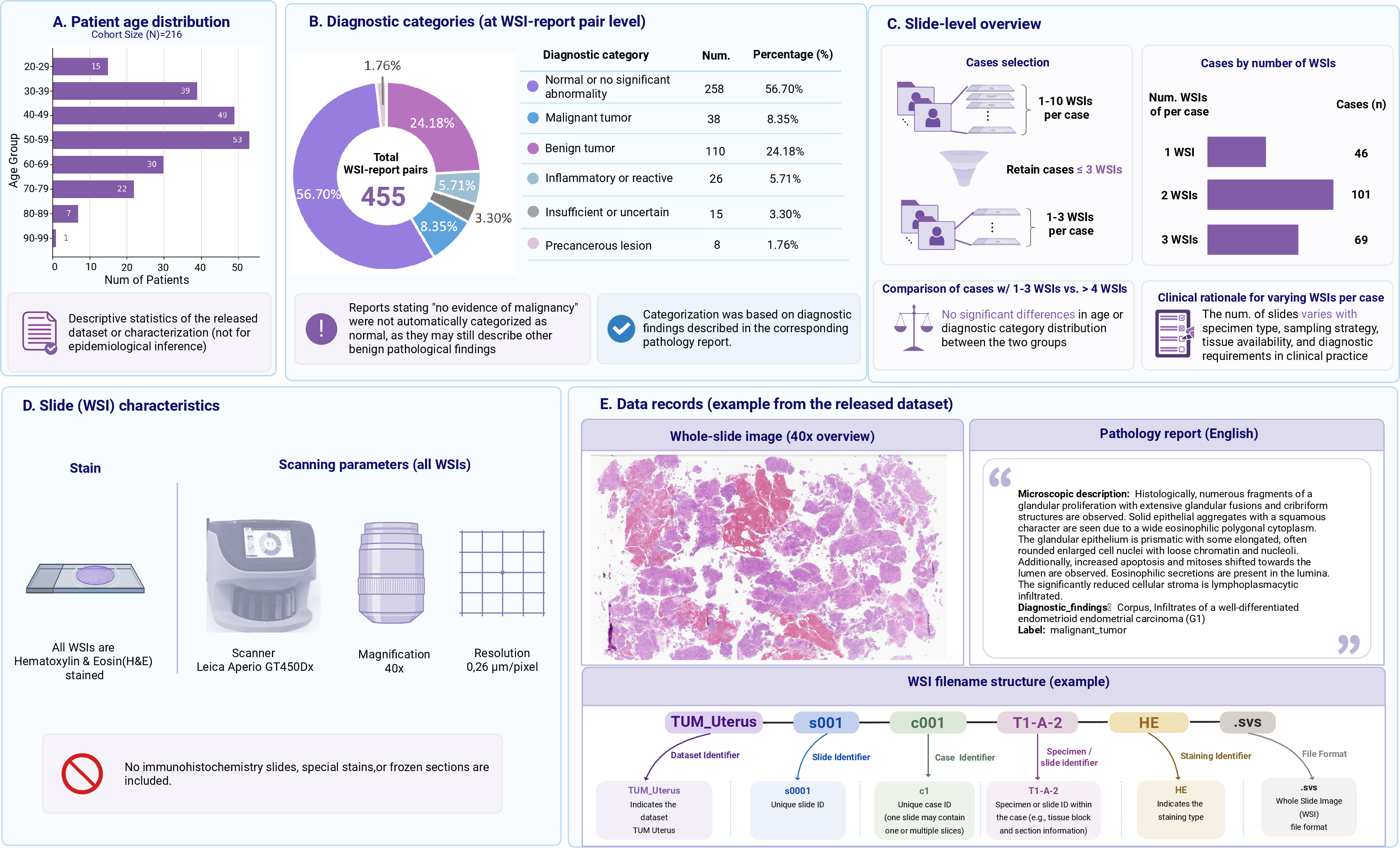 Figure 2: Overview of the TUM-Uteria dataset. (A) Patient age distribution. (B) Distribution of slide-level diagnostic categories. (C) Overview of the number of WSIs per case. (D) Characteristics of the released WSIs and scanning parameters. (E) Example data records included in the released dataset, including WSIs, report-derived textual descriptions, diagnostic categories, and case-level identifiers.