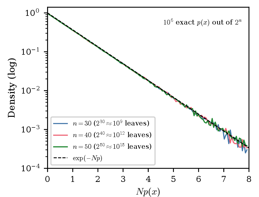 Figure 6: Validation that the frozen-tree sampler reproduces the exponential law \exp(-Np) at large n where the full 2^n amplitude vector cannot be enumerated. For n=30, 40, and 50, the sampler draws 10^{6} random leaves and evaluates each leaf probability p(x) in closed form from its branch ratios; the histograms of the rescaled variable Np(x) coincide with the ideal exponential law (dashed) at every n. The distribution is thus n-independent in Np: the mean is \langle Np\rangle = 1.00 and the high-probability tail fraction \Pr(Np>4)\approx 0.018 for all three sizes, confirming that the sampled statistics track the flat Dirichlet leaf law rather than the Hilbert-space dimension.
