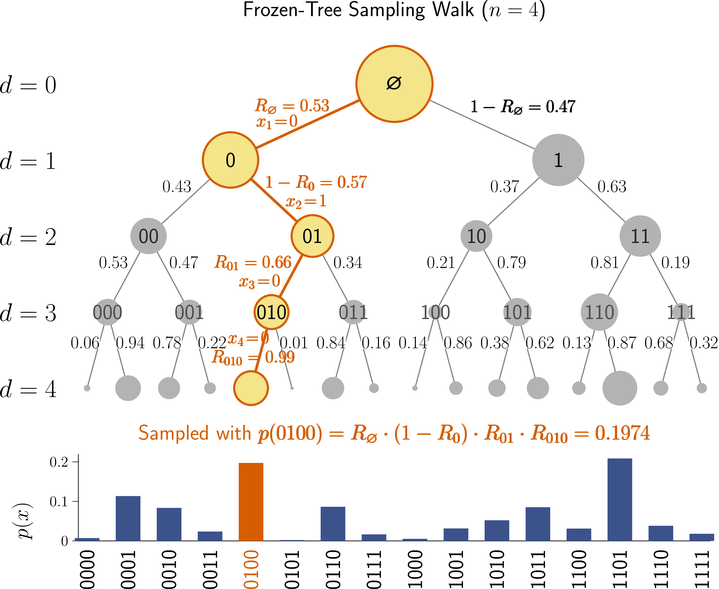 Figure 2: Random walks on a frozen tree sample bitstrings fromp_F(x)=\abs{\braket{x}{\psi}}^2=\prod_{k=1}^n R_{x<k}^{1-x_k}(1-R_{x<k})^{x_k}, illustrated here forn=4 qubits. During the random walk from the root to a leaf, the path at each node moves left with probabilityR_{x<k} (setting x_k=0) or right with probability 1-R_{x<k} (setting x_k=1). When a node is visitedfor the first time, its branch ratio R_{x<k} is drawn from the Beta distribution, \text{Beta}(K,K) withK=2^{n-d-1} and frozen for later revisits. Near the root the branch ratios are close to 1/2, whereas nearleaves they fluctuate strongly, as indicated by the node circle sizes. For example, the probability of findingx=0100 is given byp(x=0100) = R_\varnothing\cdot (1-R_0)\cdot R_{01}\cdot R_{010}= 0.53\times 0.57\times 0.66\times 0.99 \approx 0.197.The probability p_F(x) is plotted below.