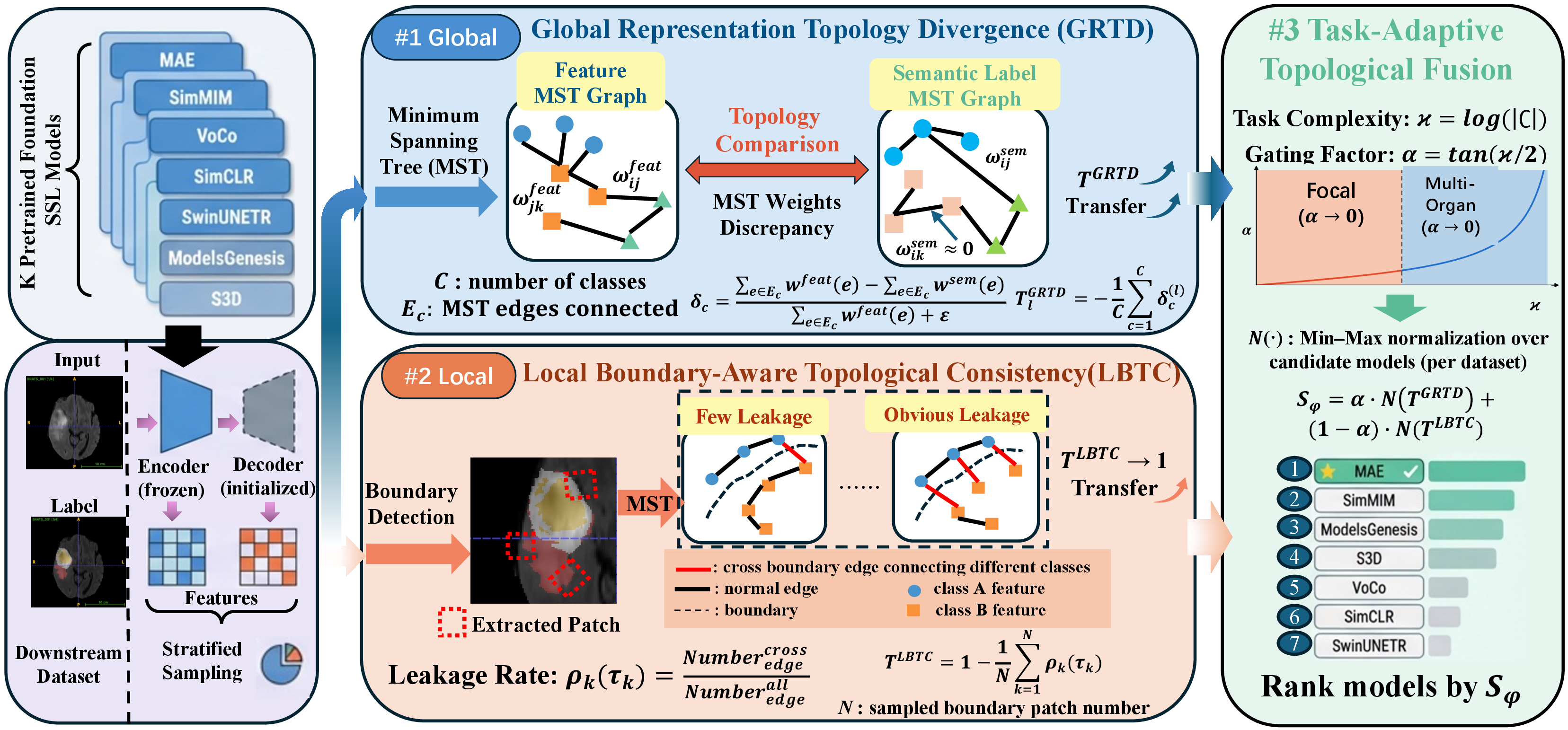 Figure 3: Overview of our Topology-Driven TE framework. By constructing MST, the framework quantifies feature-label topological alignment across local boundary (LBTC) and global structural (GRTD) scales, fusing them via a task-adaptive gating mechanism to achieve accurate, training-free ranking of 3D medical foundation models.
